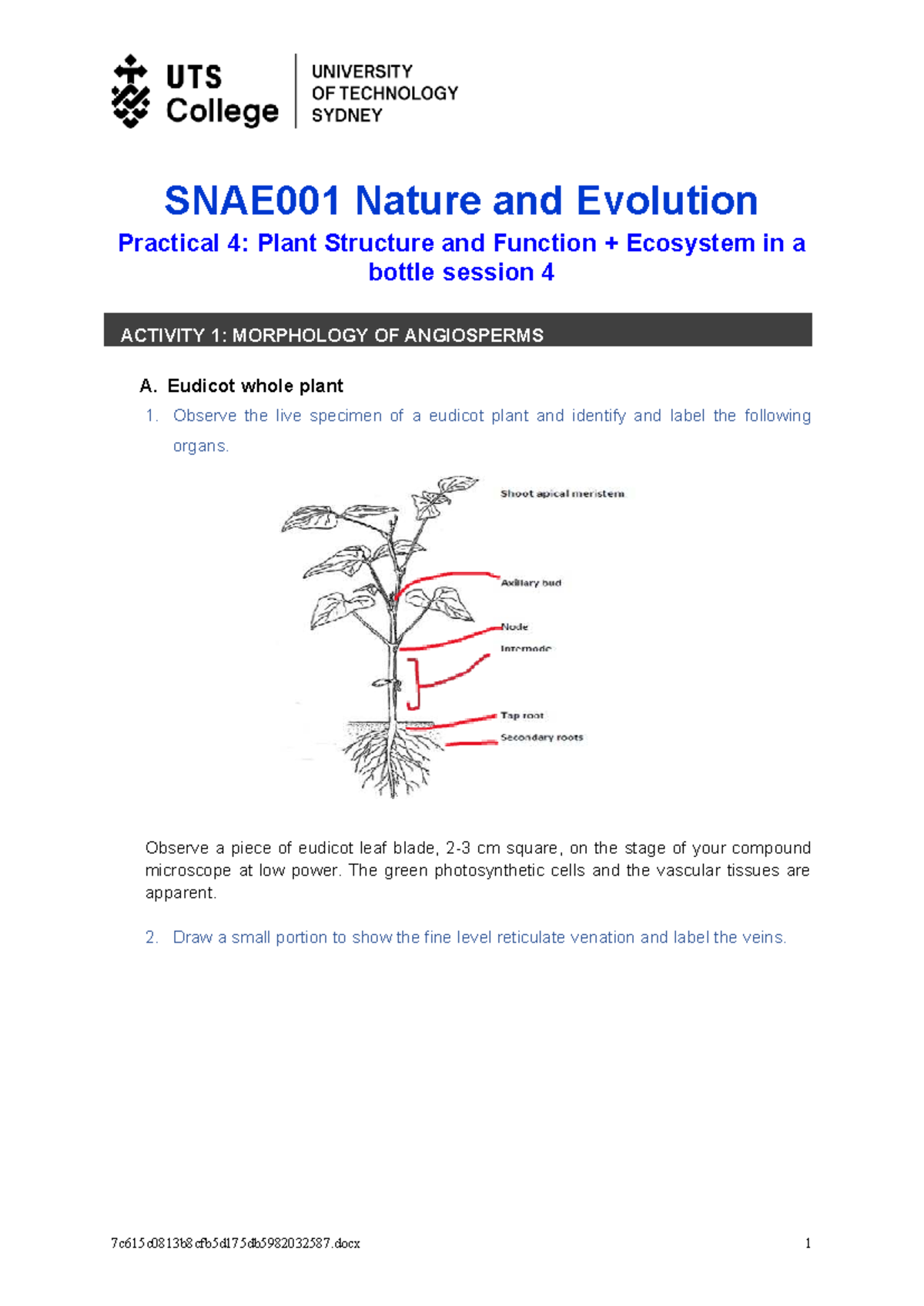 SNAE001 Practical 4: Plant Structure & Function in Ecosystems - Studocu