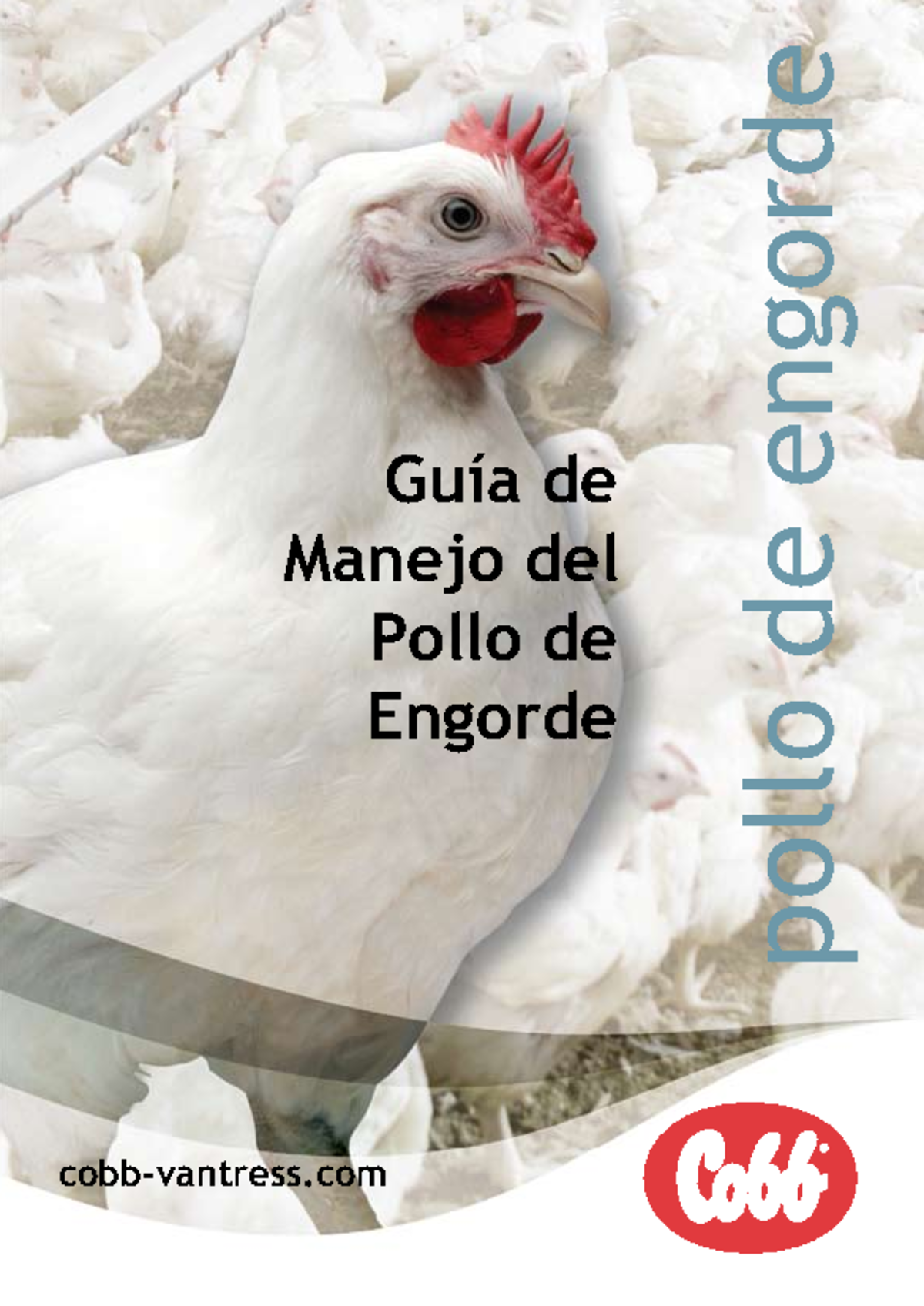 Guía de Manejo para Pollo de Engorde - Cobb 500 - Studocu