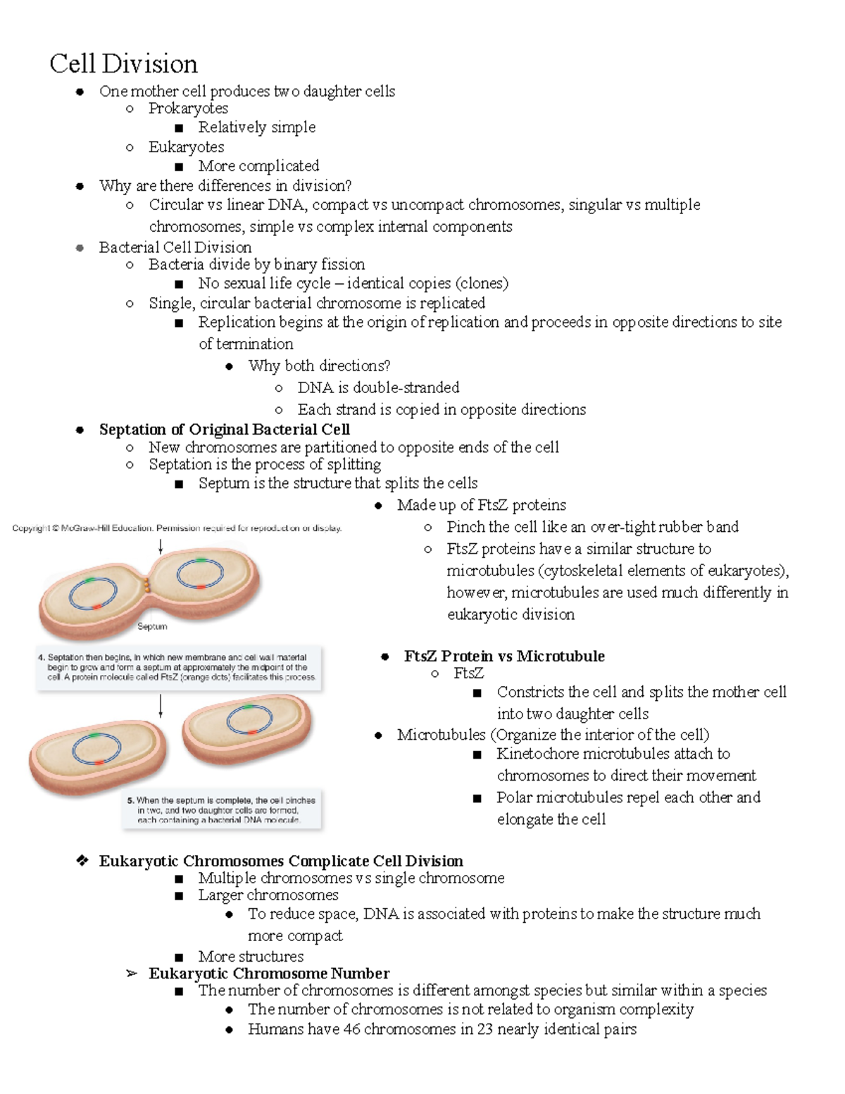 Bio 155 Chapter 10: Cell Division and Control Mechanisms - Studocu