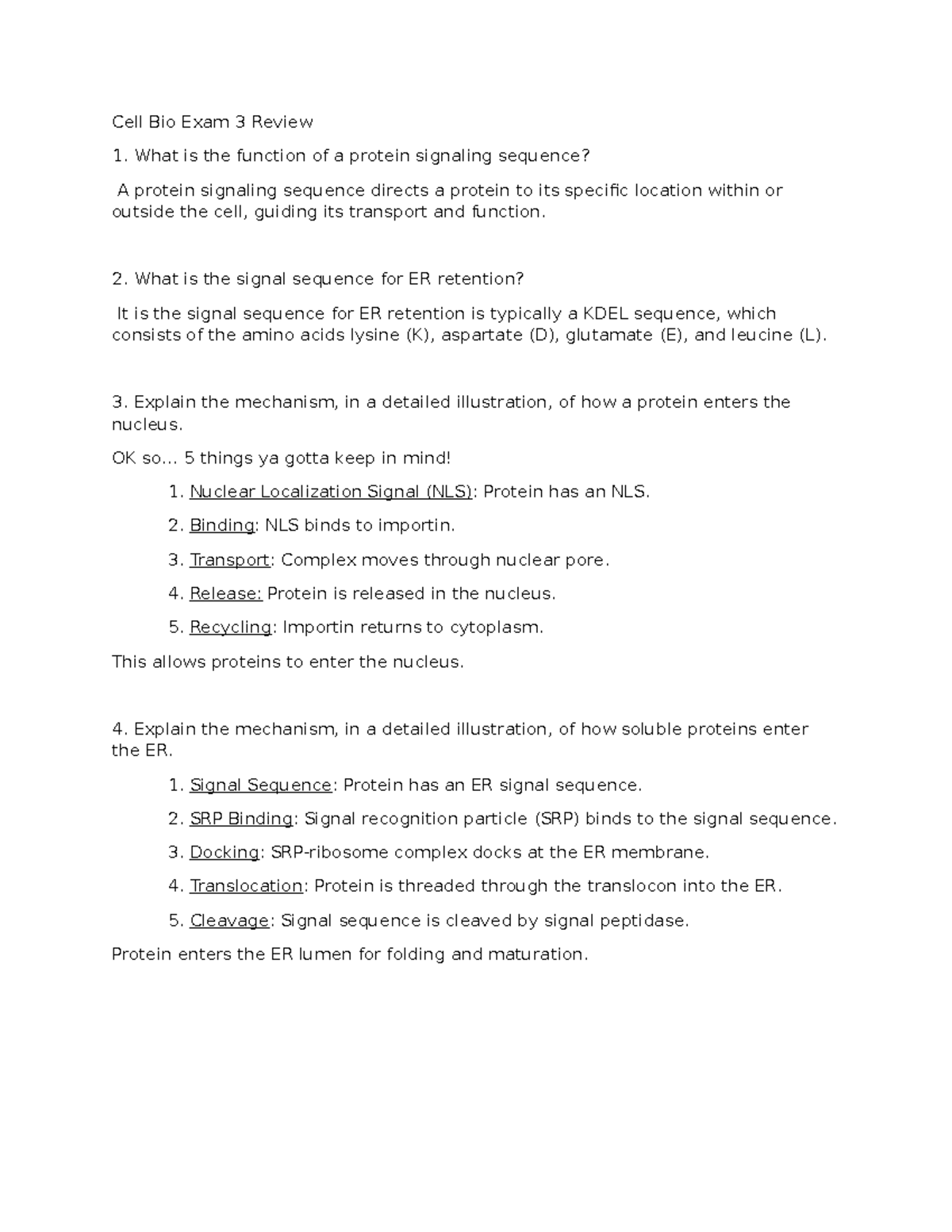 Cell Bio 3 Exam Review: Protein Signaling, Mitosis & Apoptosis ...