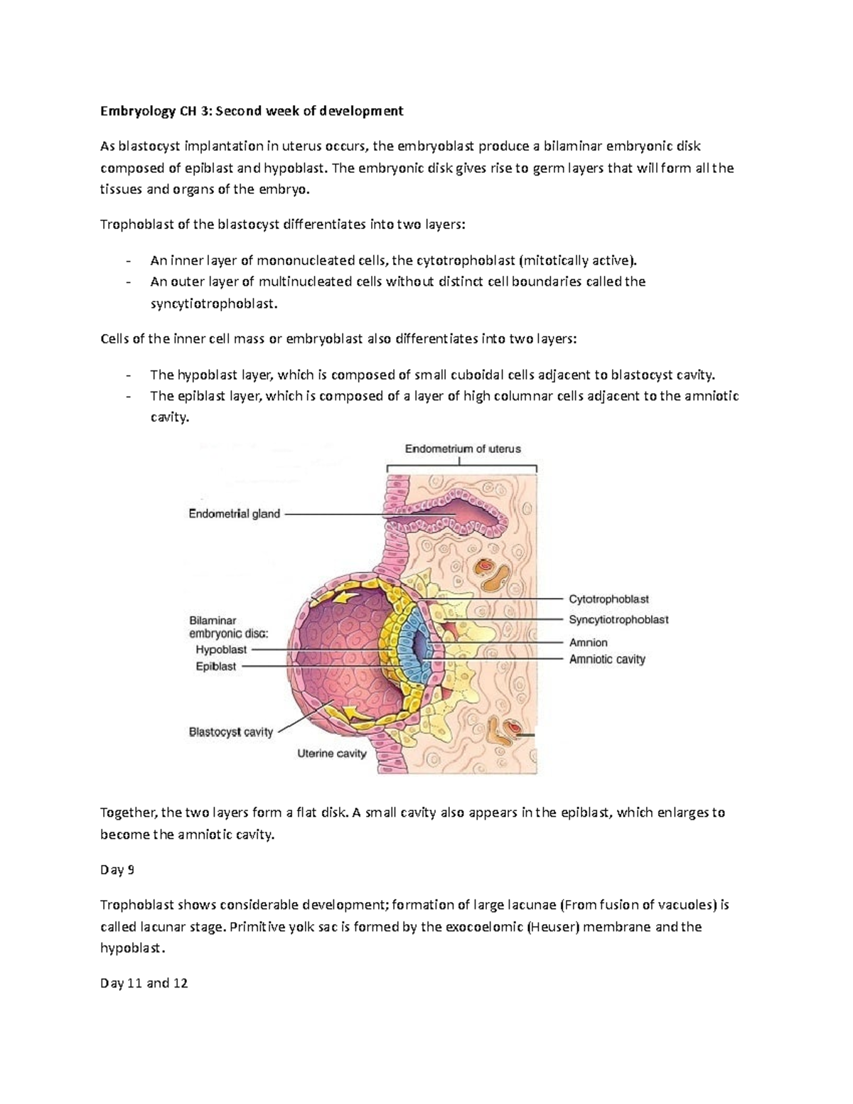 Figure 1 from When Closure Fails: What the Radiologist Needs to Know About  the Embryology, Anatomy, and Prenatal Imaging of Ventral Body Wall Defects.  | Semantic Scholar, image size:1200x1553