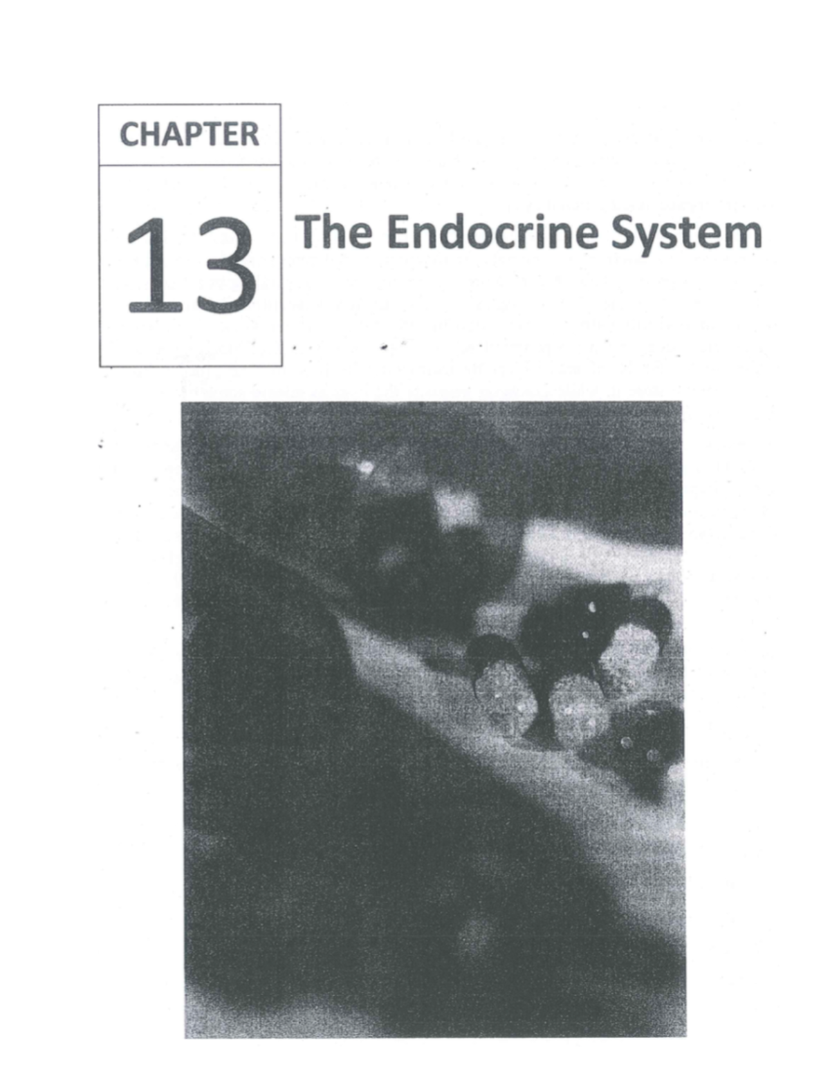 Chapter 13: Overview of the Endocrine System and Hormonal Regulation ...