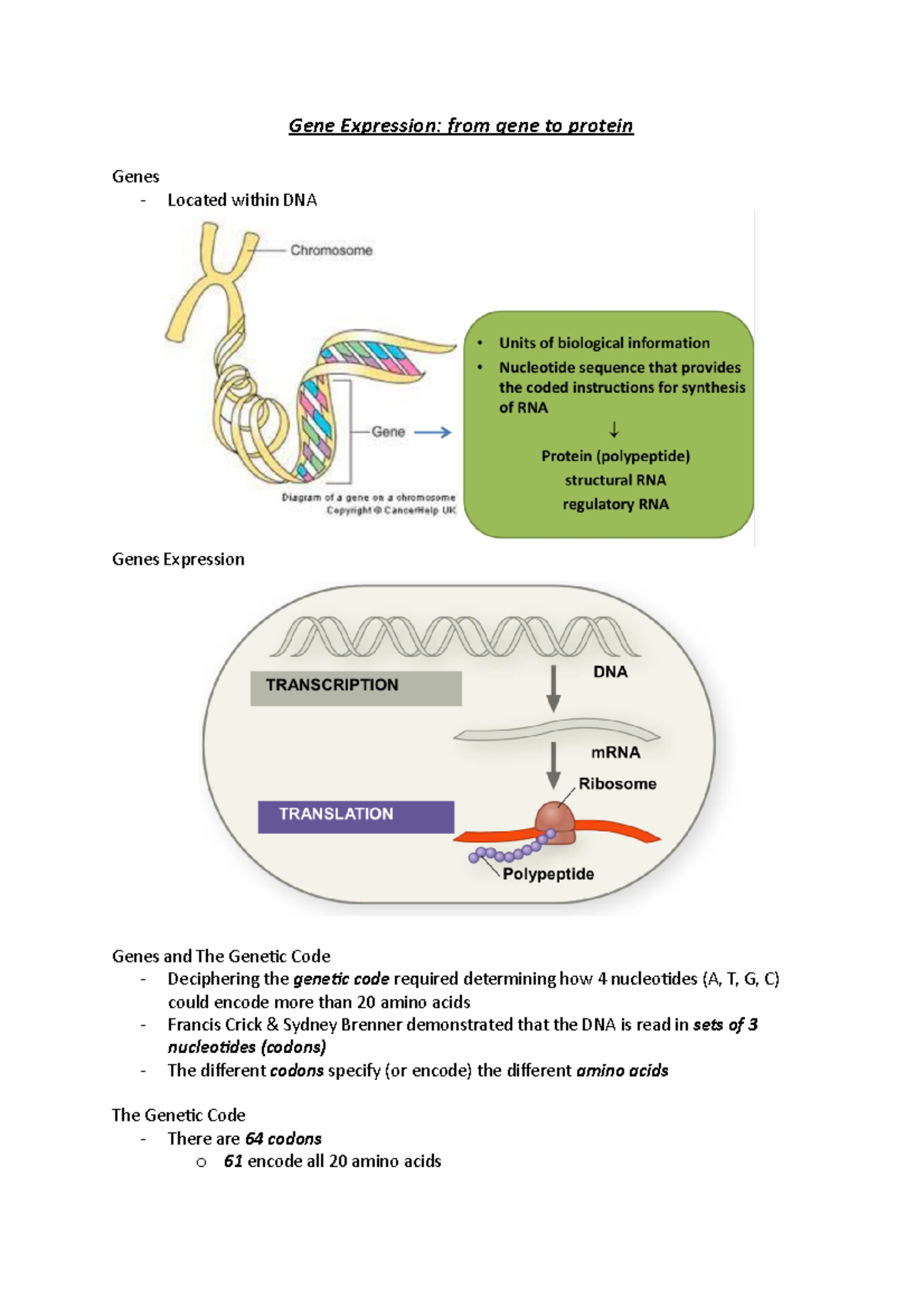 Gene Expression Summary - Campbell Biology (Final Exam Notes) - Studocu