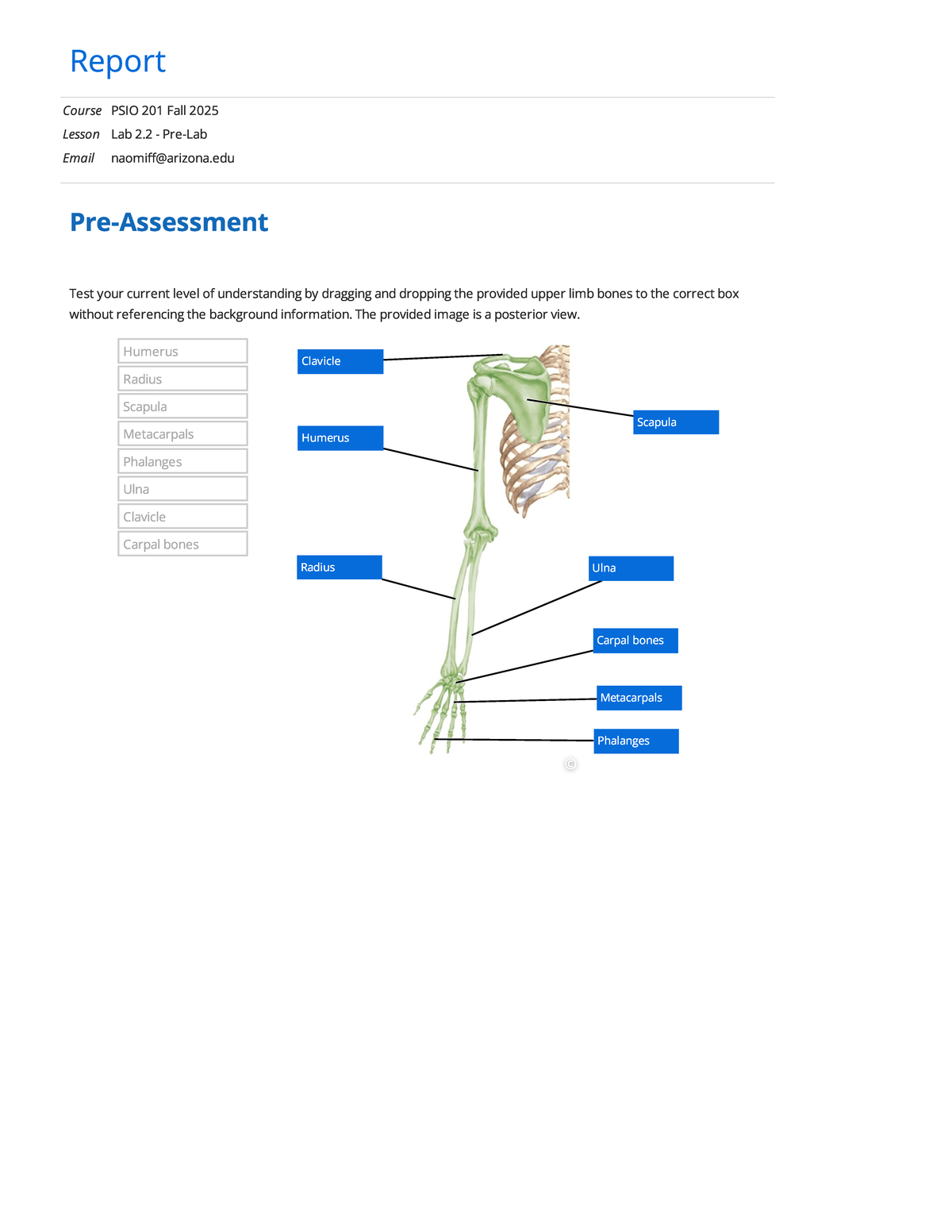 PSIO 201 Fall 2025: Lab 2.2 on Bone Identification and Functions - Studocu