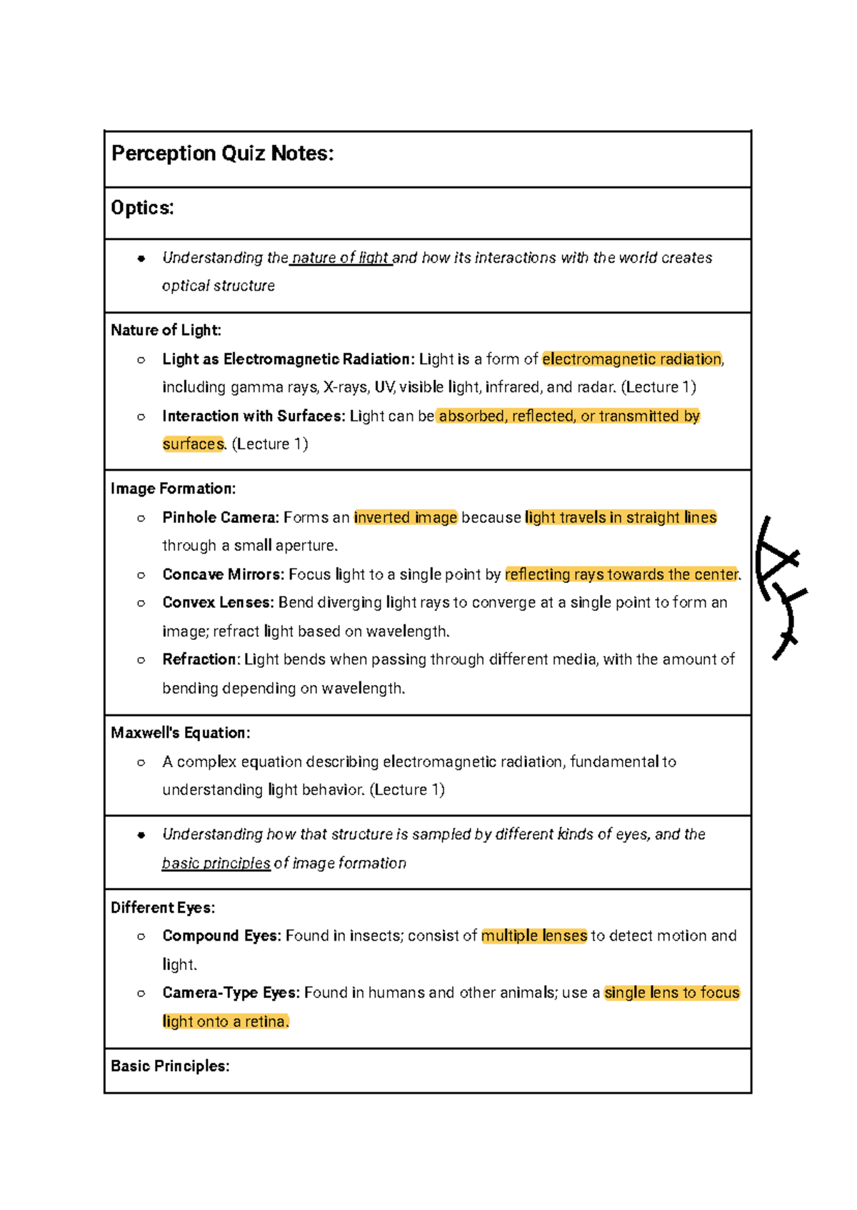 Perception Quiz Notes - Perception Quiz Notes: Optics: Understanding ...