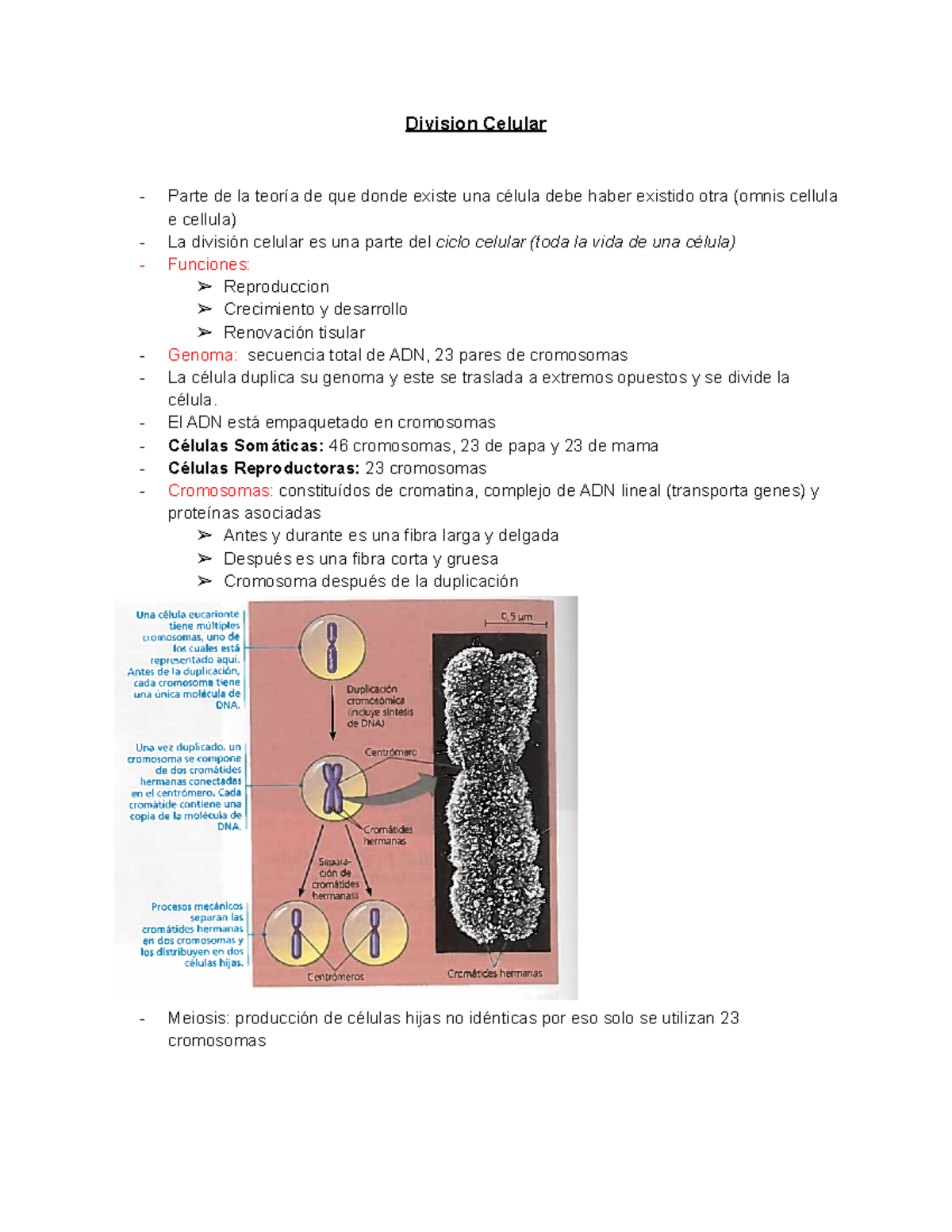 Semana 14 Pb - Resumen de la sem 14 - Division Celular Parte de la ...