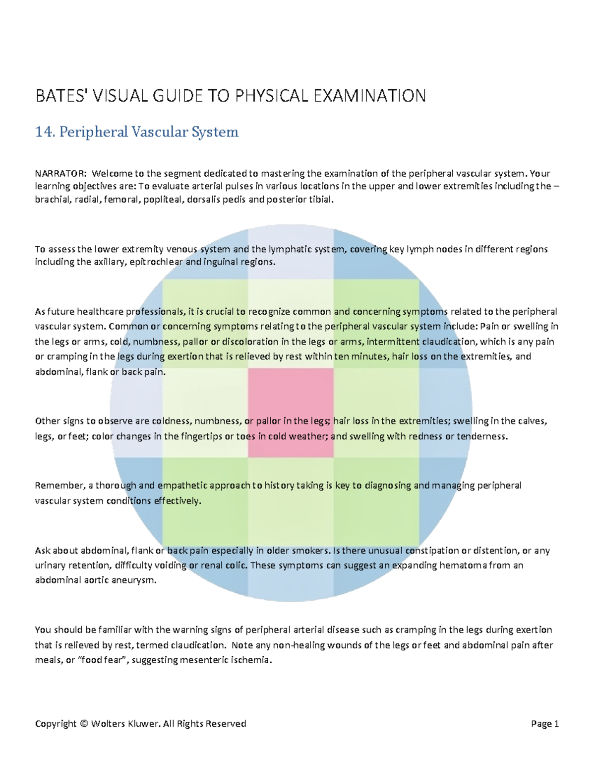 Bates' Visual Guide to Physical Examination: Peripheral Vascular System ...