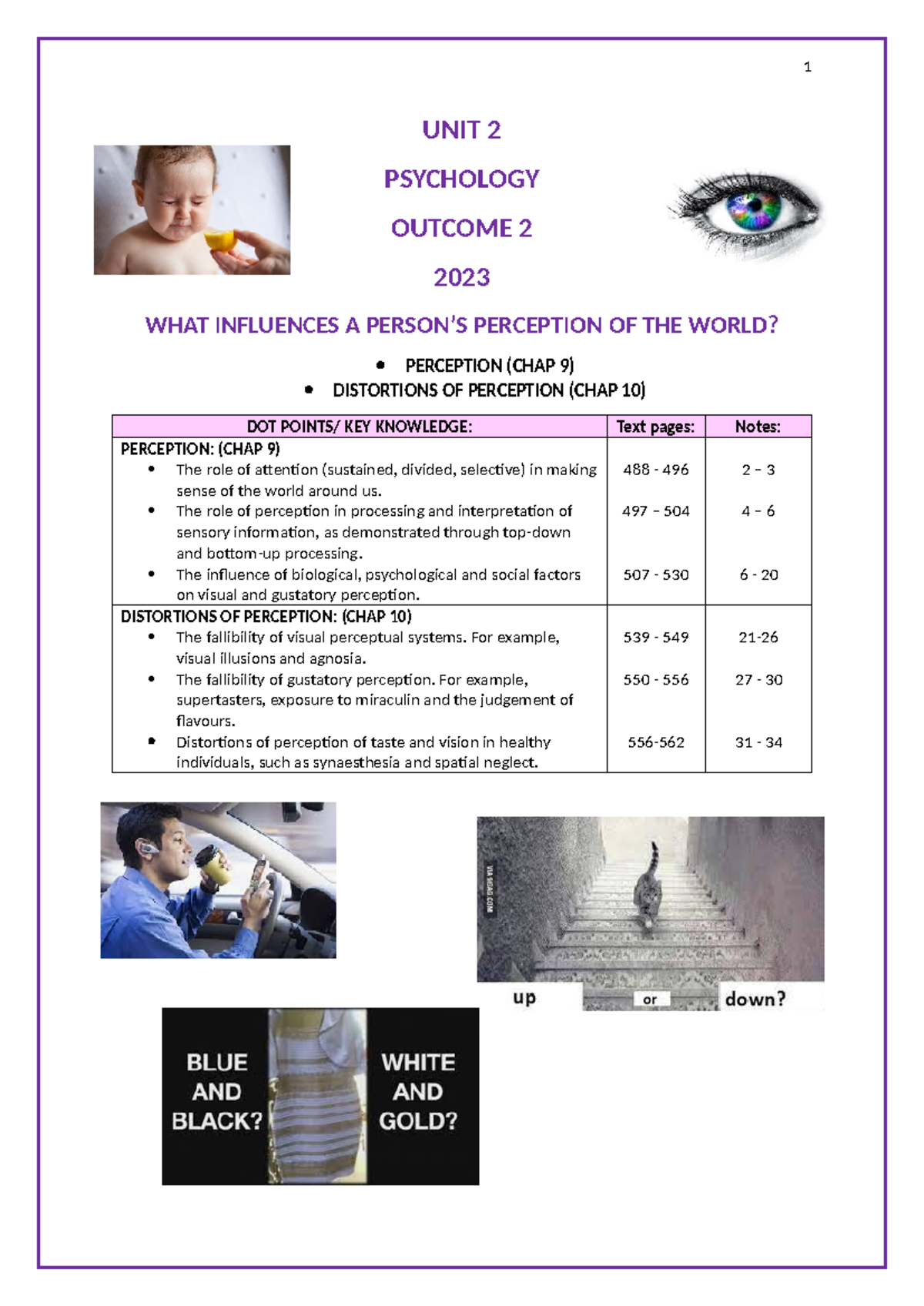 U2 Psychology Outcome 2 Notes: Perception & Distortions (2023) - Studocu