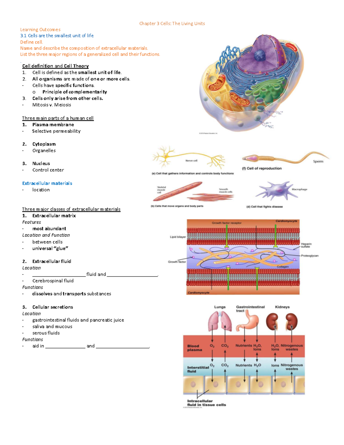 Biology 101: Chapter 3 - Cells and Membrane Transport Mechanisms - Studocu