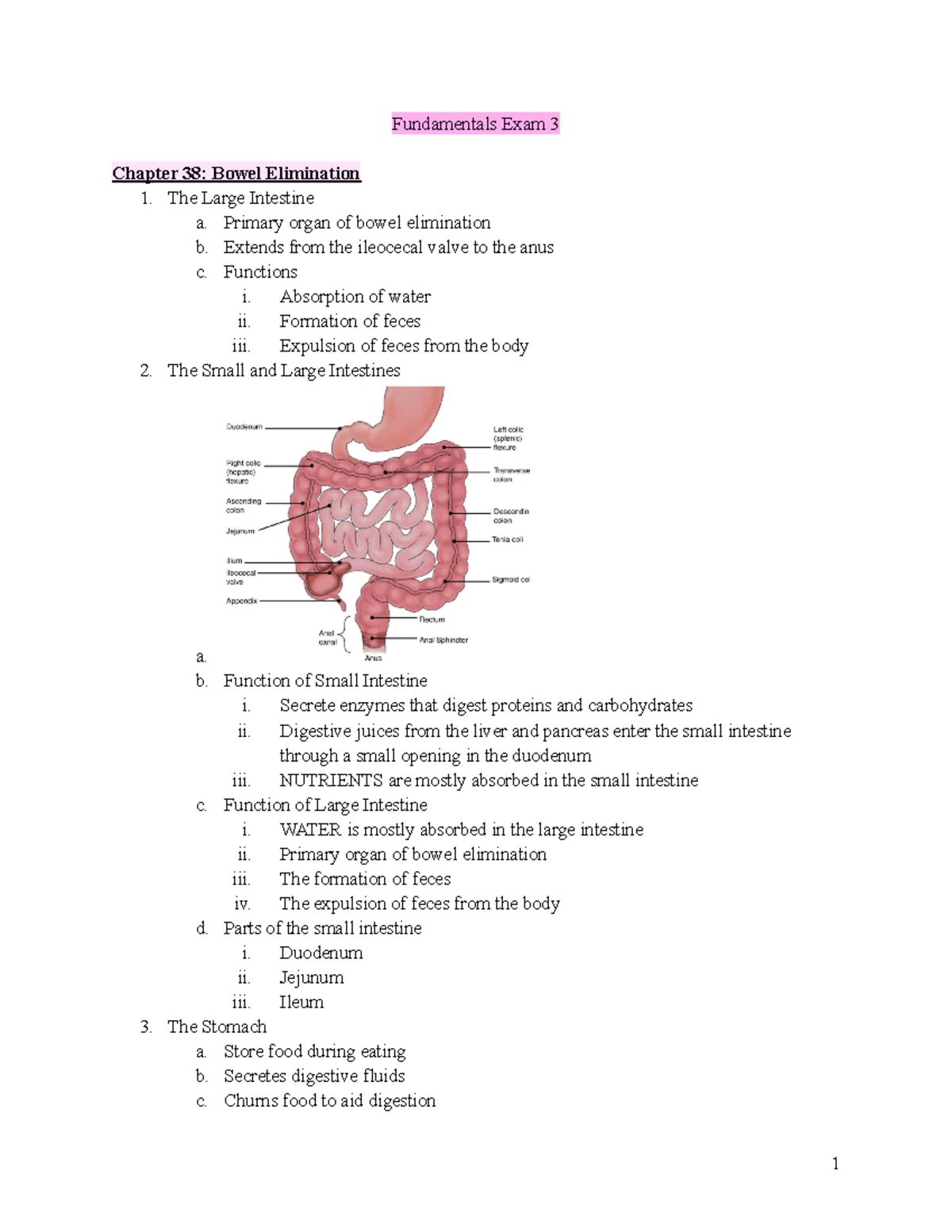 Fundamentals NSG 3213 Exam 1 Lecture Notes: Nursing Foundations and ...