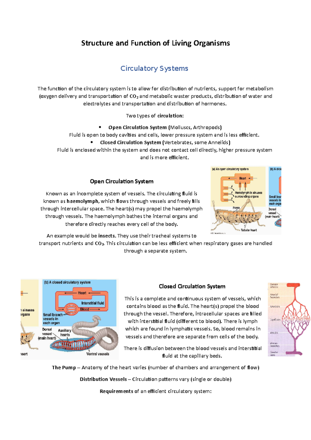 Circulatory Systems Overview - Structure & Function of Heart and ...