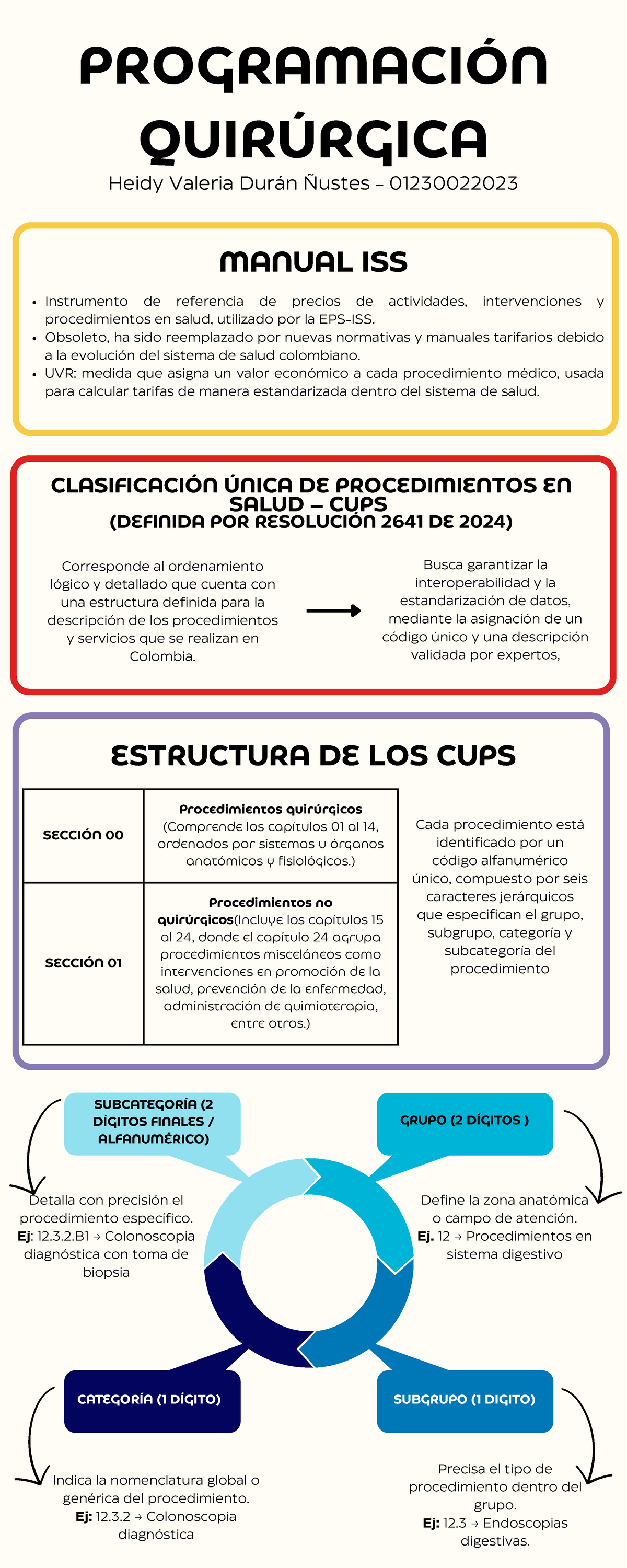 PROGRAMACIÓN QUIRÚRGICA CUPS 01230022023: Manual de Procedimientos ...
