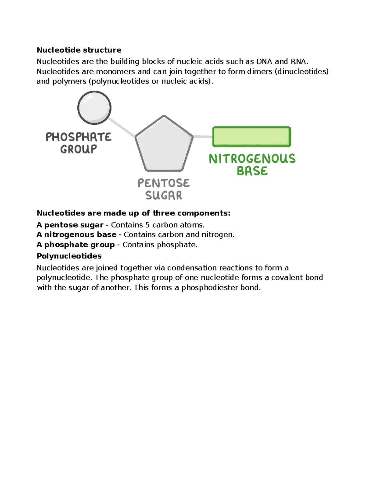 Nucleotides structure - Nucleotide structure Nucleotides are the ...