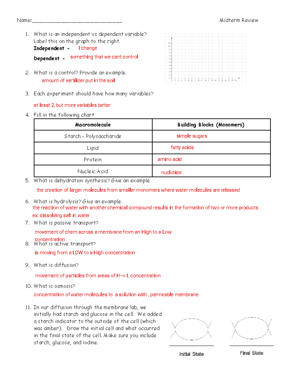 Biology Midterm Review Sheet: Concepts and Key Terms - Name ...