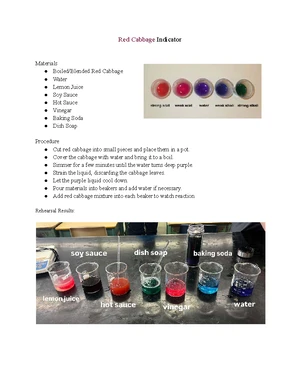 Red Cabbage as a Natural pH Indicator: Experiment Insights - Studocu