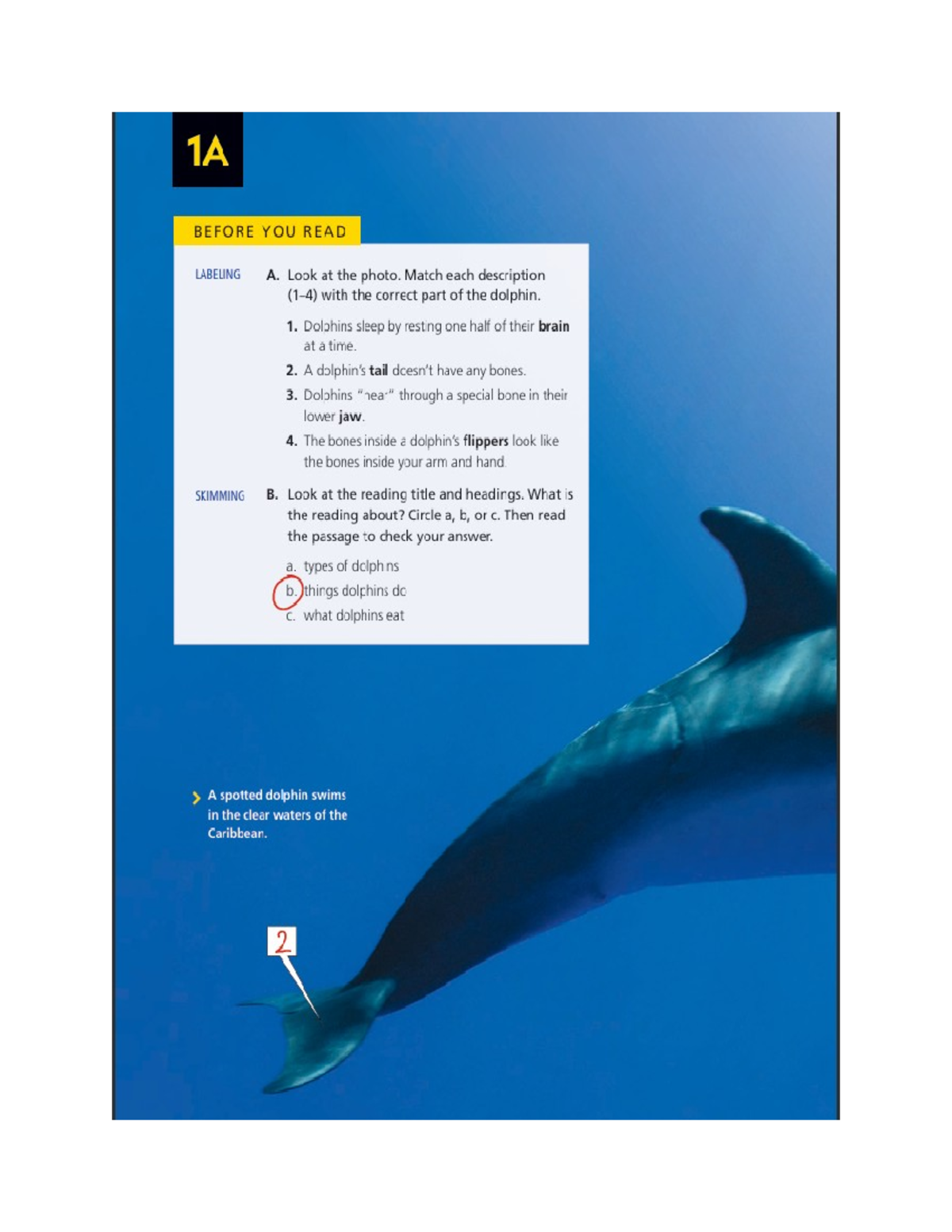 Unit 1A, 1B, Reading Explorer 1 - 1A BEFORE YOU READ LABELING A. Look ...