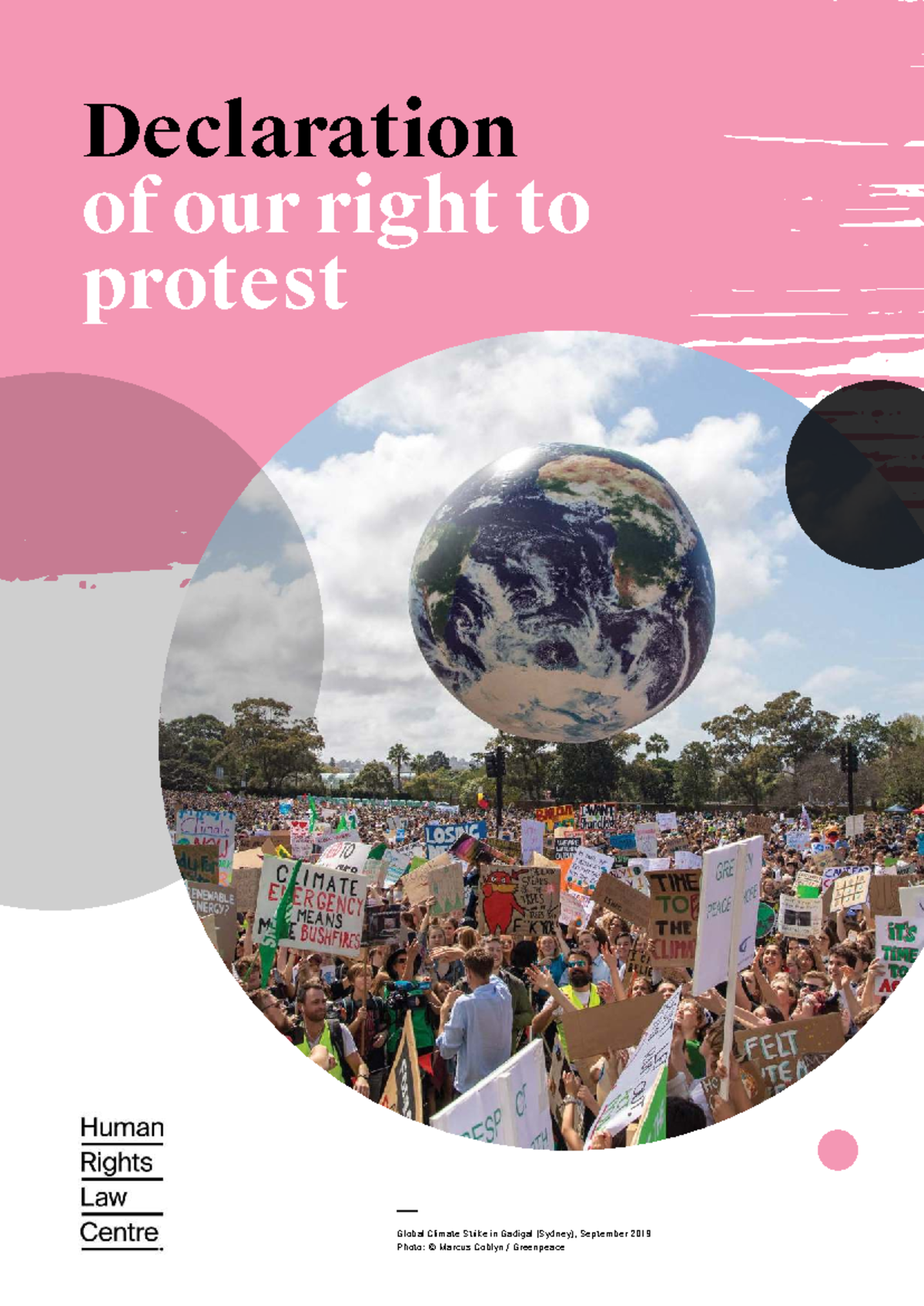 2311 Declaration of Our Right to Protest: A Human Rights Perspective ...