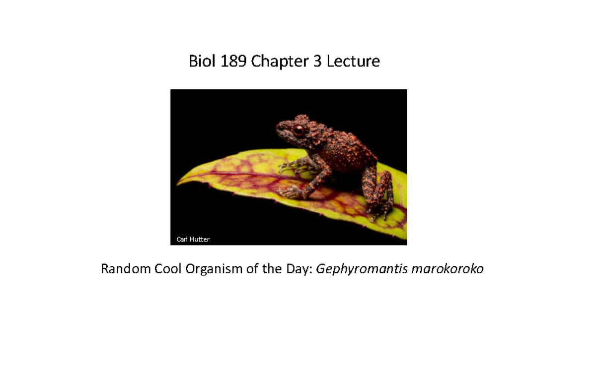 Biol 189 Chapter 3 Lecture: Understanding Cells and Their Functions ...