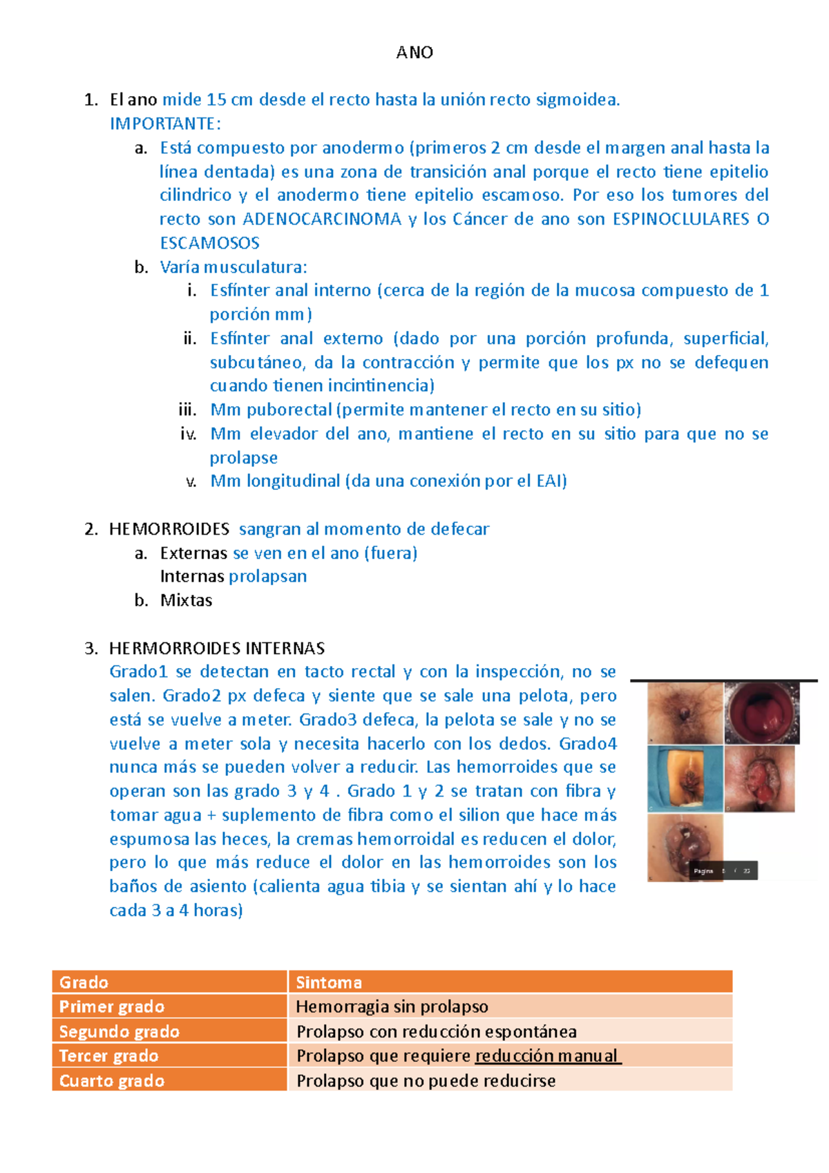 resumen del capitulo de patologias de ano - ANO El ano mide 15 cm desde ...