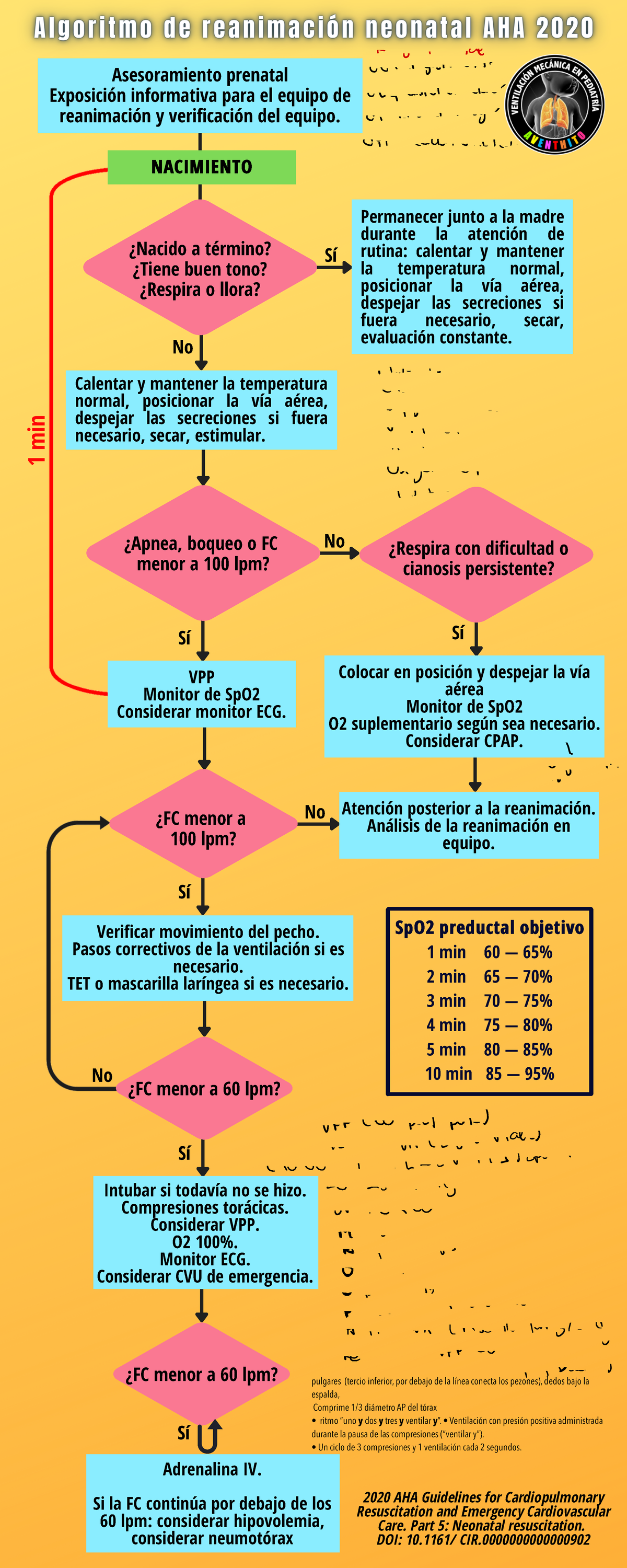 Algoritmo Nrp Imprimible 2017 Algoritmos AEPap