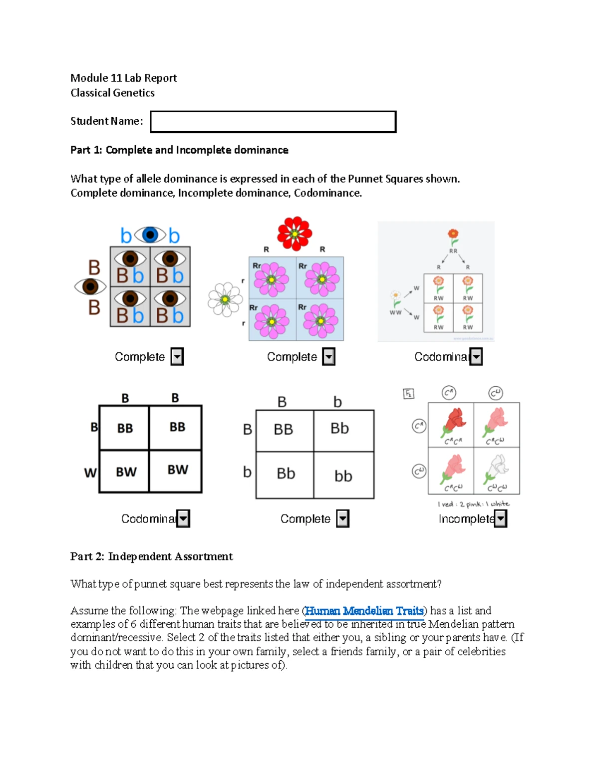 語学・辞書・学習参考書 Preimplantation Genetic Diagnosis 語学・辞書・学習参考書 Preimplantation Genetic Diagnosis