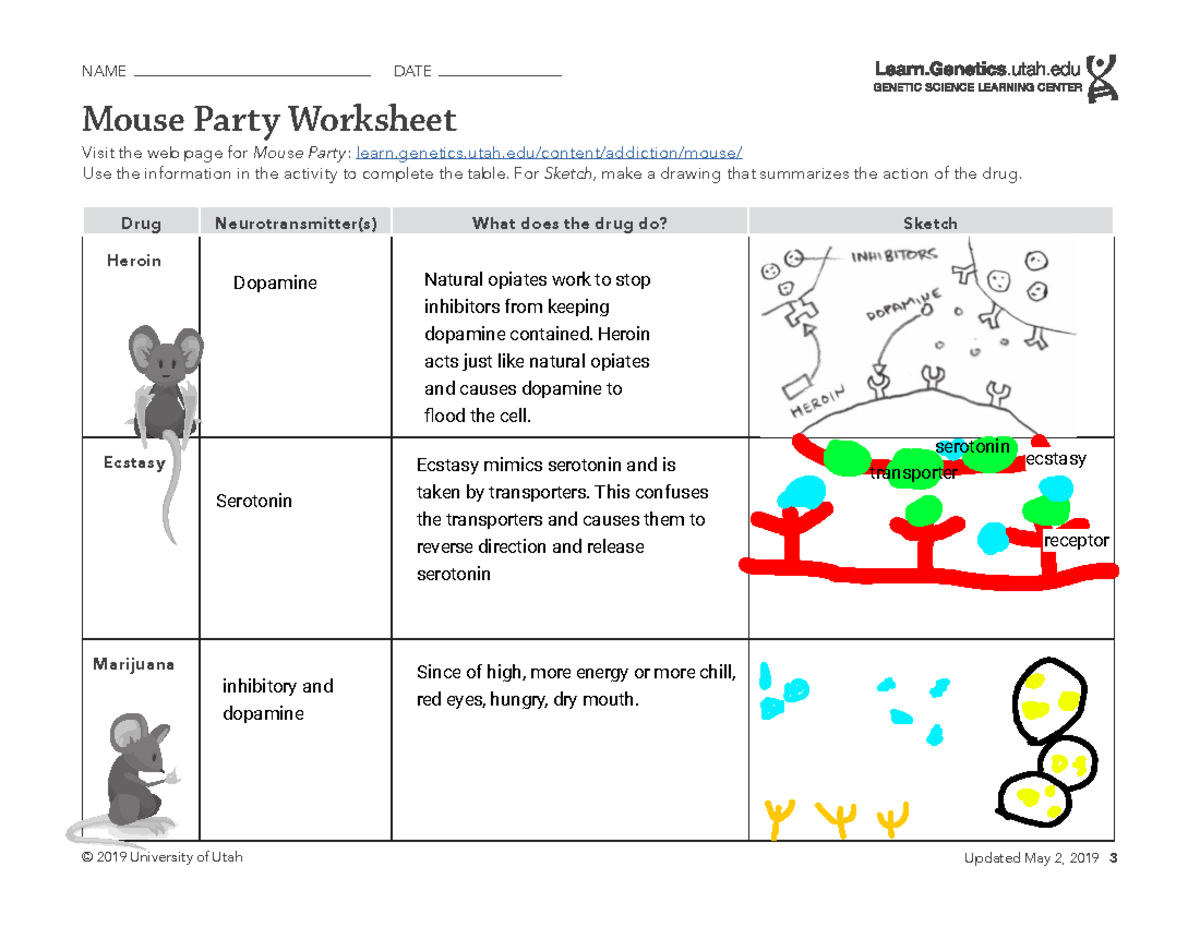 Mouse Party Activity Worksheet - Drug Effects & Neurotransmitters - Studocu