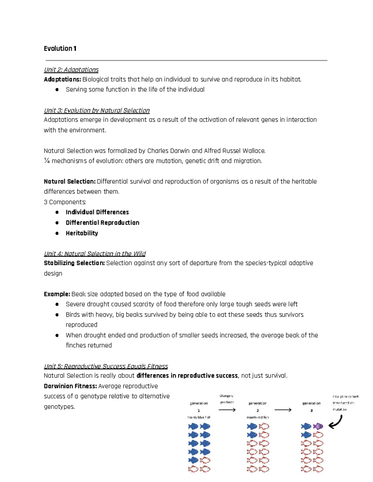Evolution 1: Unit 2-5 Notes on Adaptations & Natural Selection - Studocu