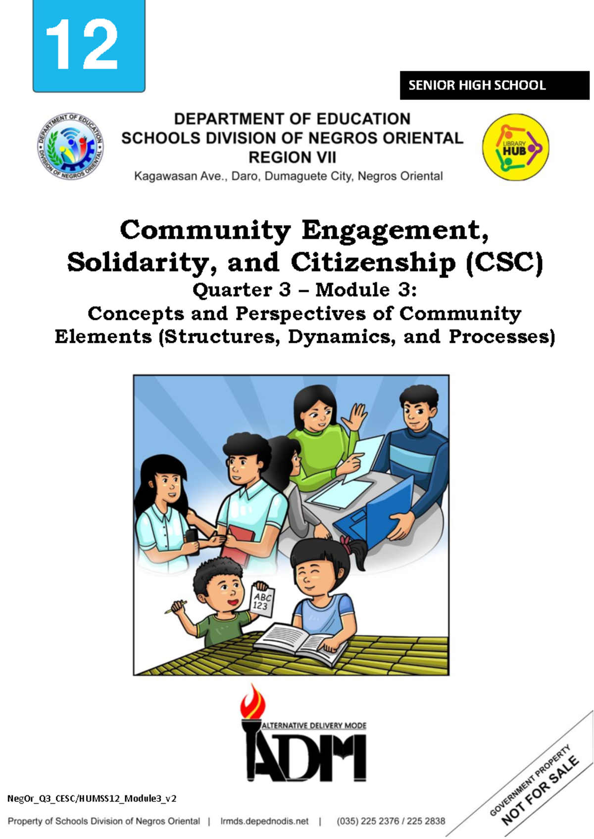 NegOr_Q3_CESC/HUMSS12_Module3: Community Perspectives and Dynamics ...