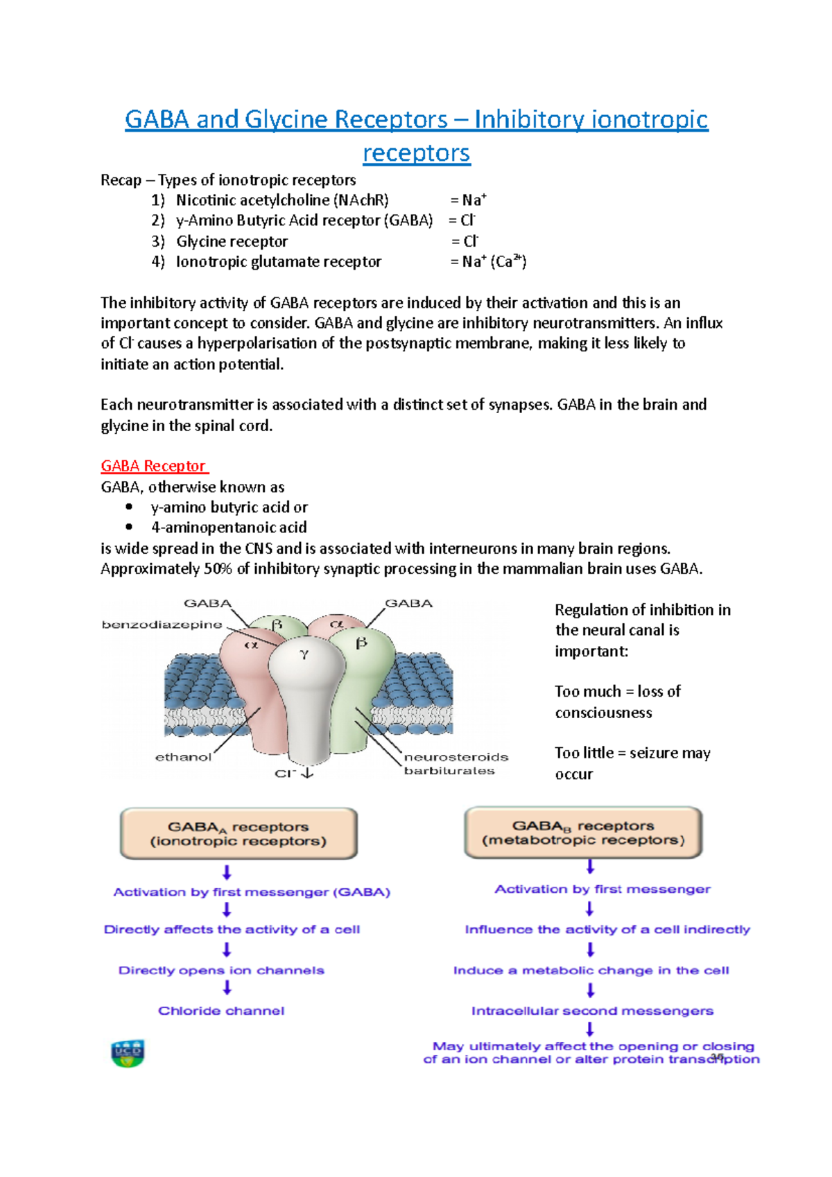 GABA and Glycine Receptors: Key Inhibitory Ionotropic Mechanisms - Studocu