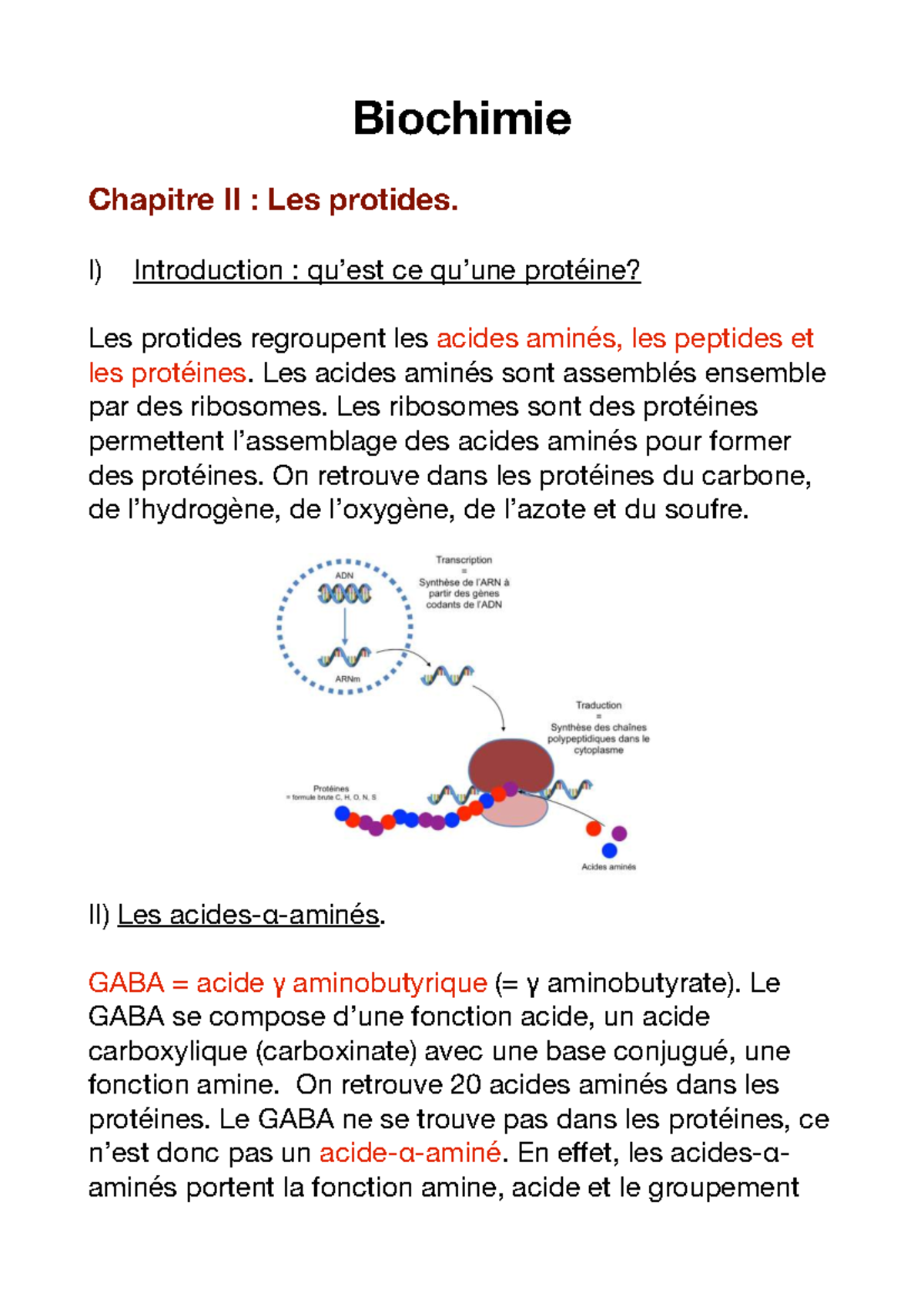 Biochimie Chapitre II : Les Protides - Cours Complet - Studocu