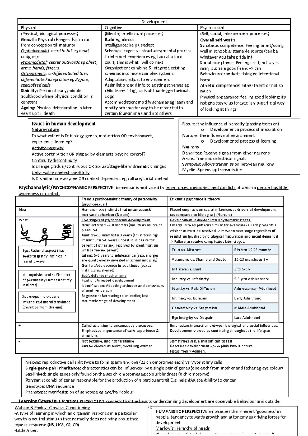 286 Exam Notes - Summary of Human Development Theories and Concepts ...