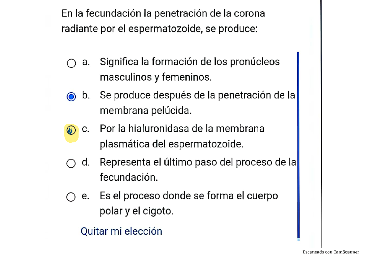 1er Parcial 2023: Temas Clave en Fisiología y Anatomía Celular - Document Preview