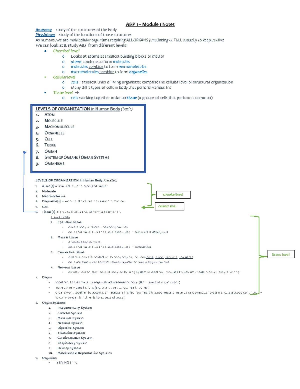 A&P 1 Module 1 Lecture Notes: Anatomy, Physiology, and Body Systems ...