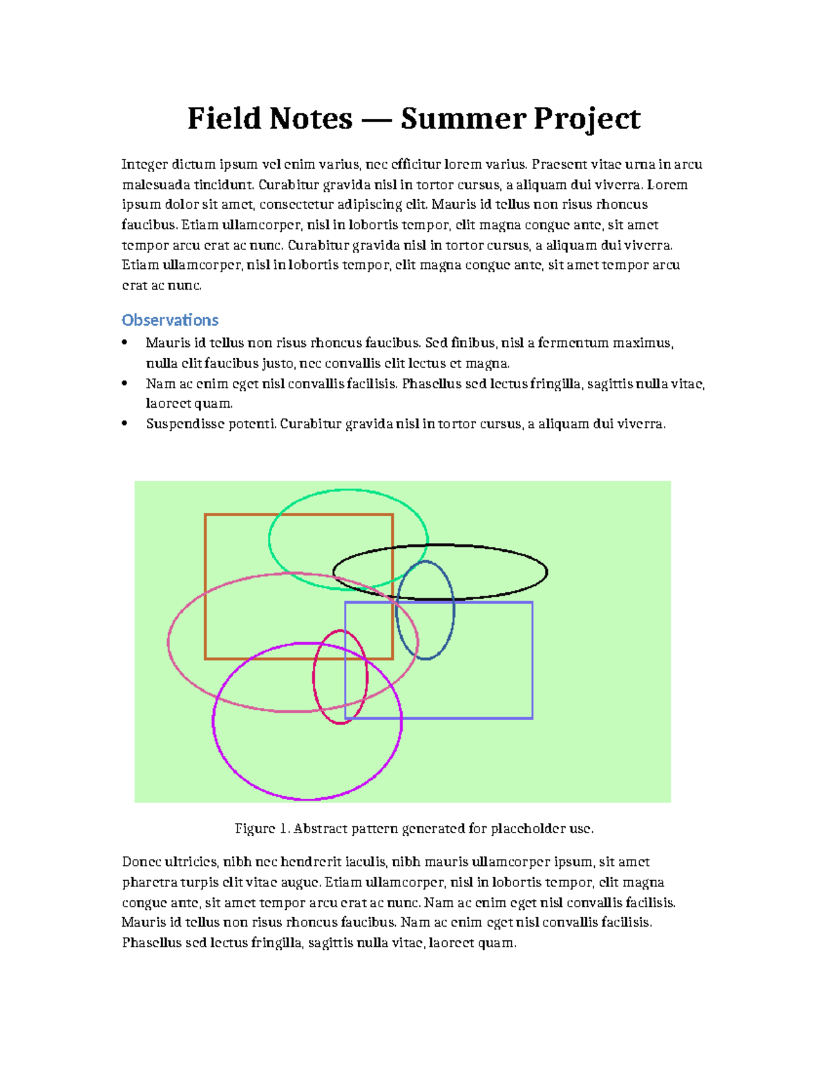 Field Notes: Summer Project Observations and Insights - Studocu