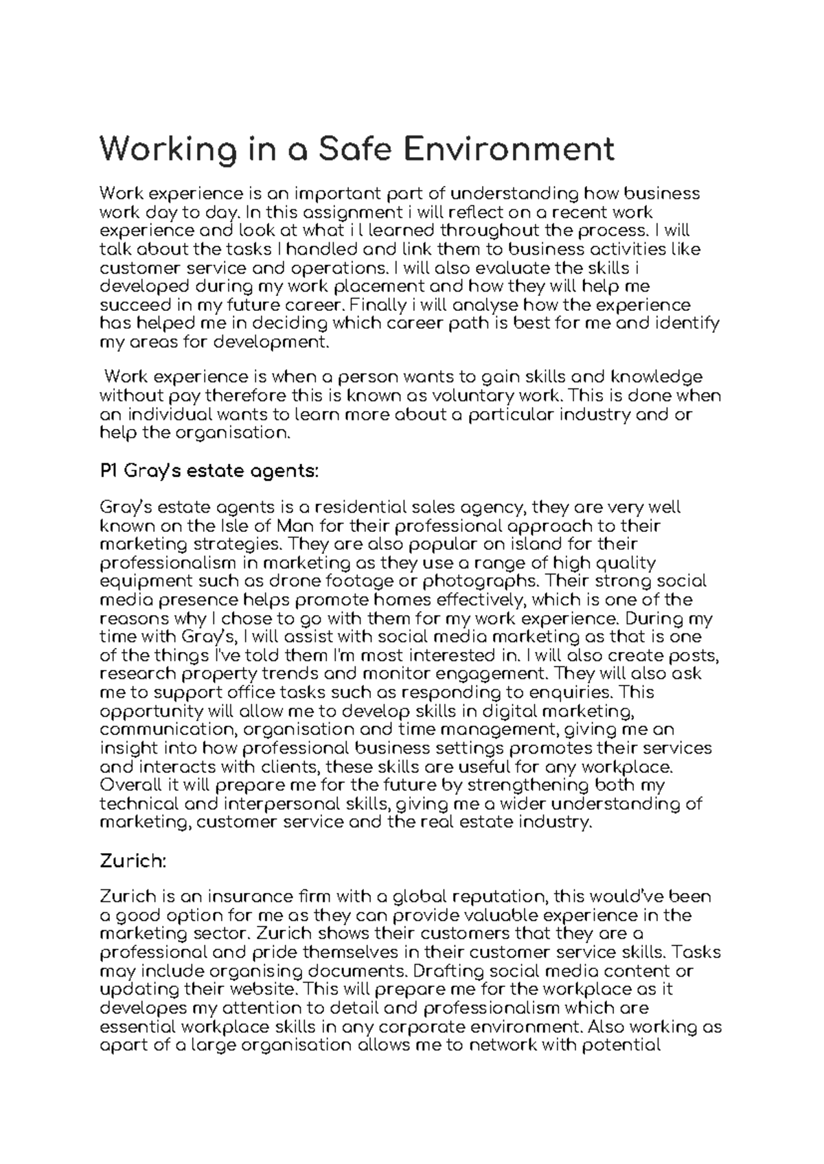 Work Experience Reflection: Insights on Business Practices and Safety ...