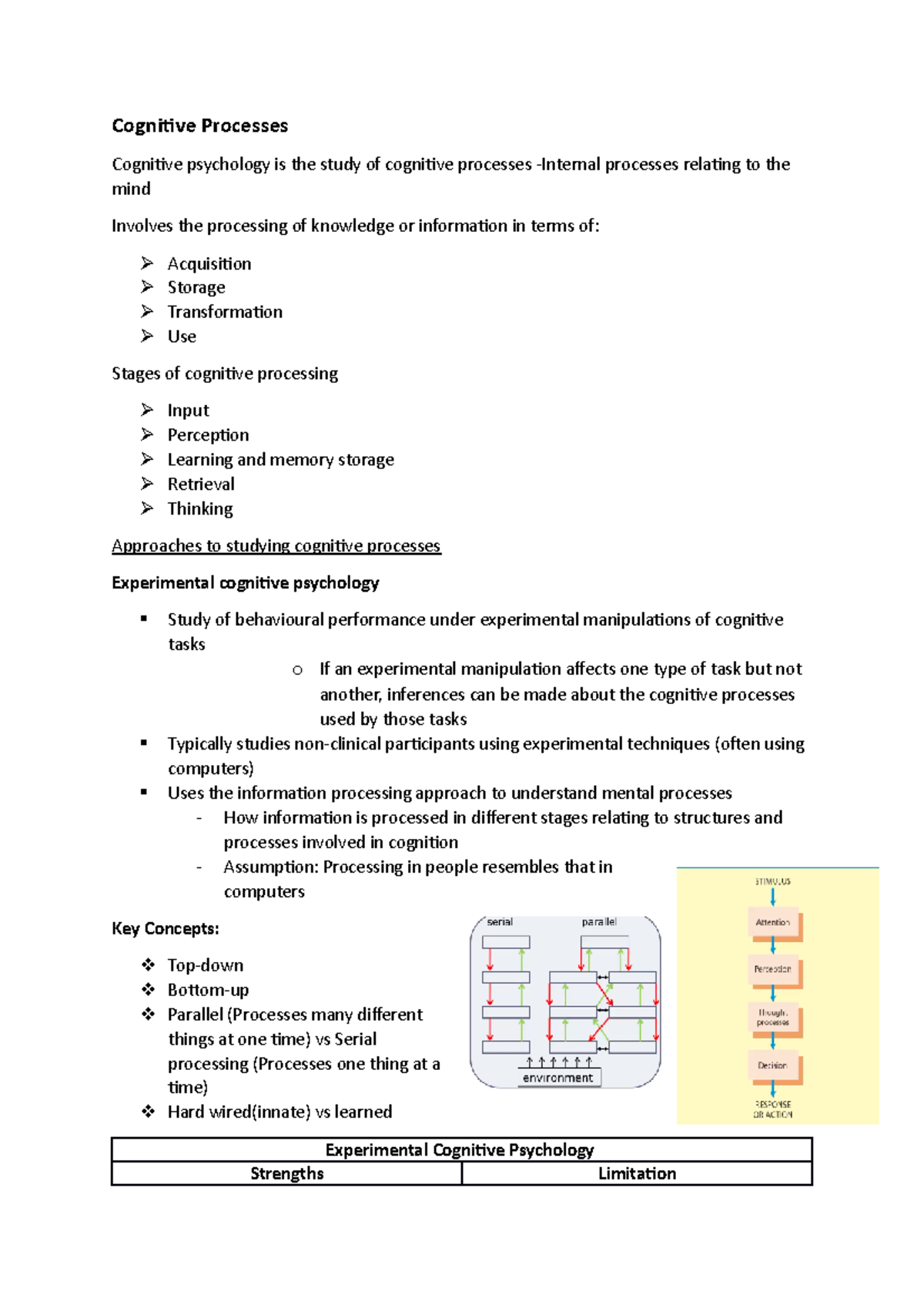 Cognitive Processes - Cognitive Processes Cognitive psychology is the ...