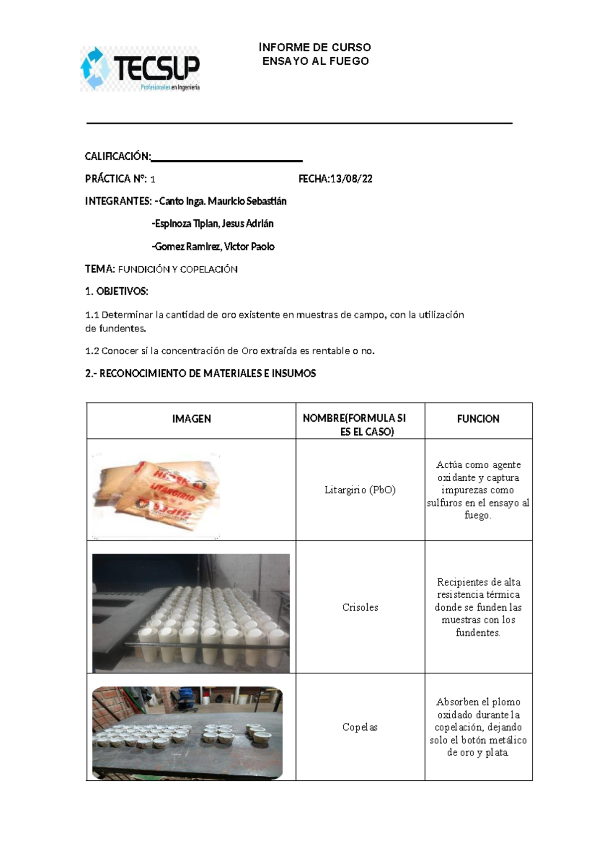 Informe de Curso: Ensayo al Fuego - Práctica 1 (Grupo 2) - Document Preview