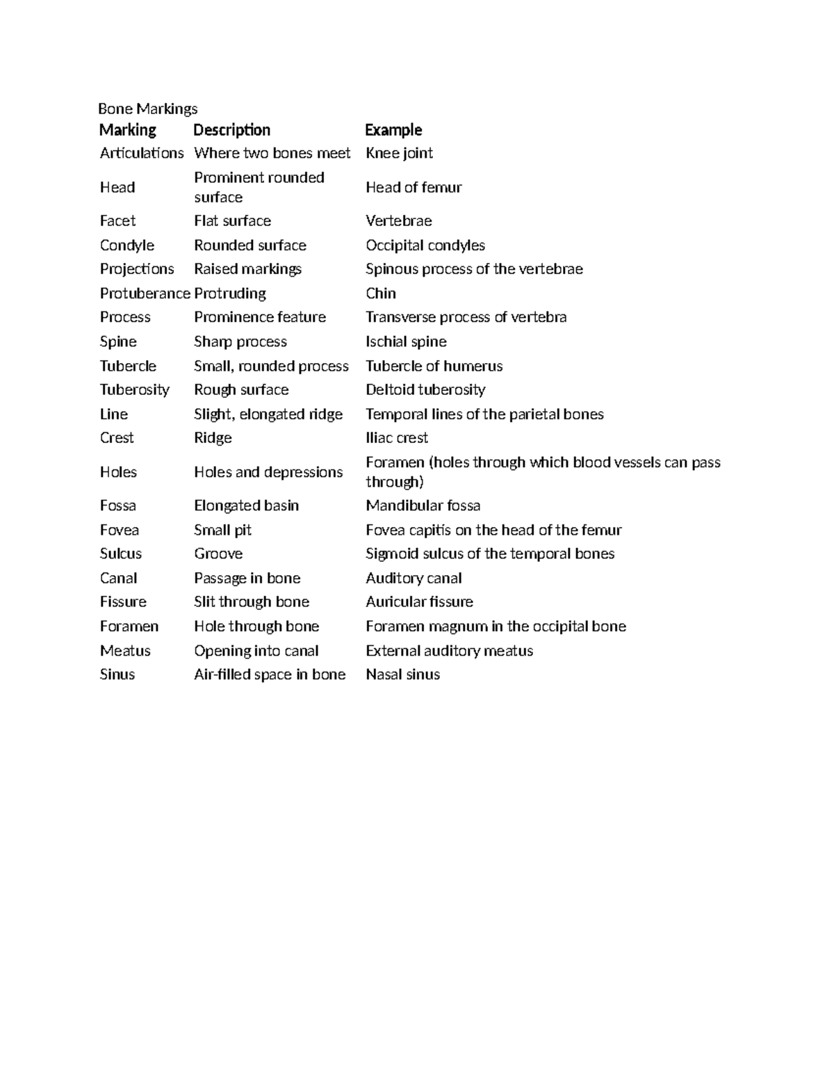 Bone Marking Descriptions