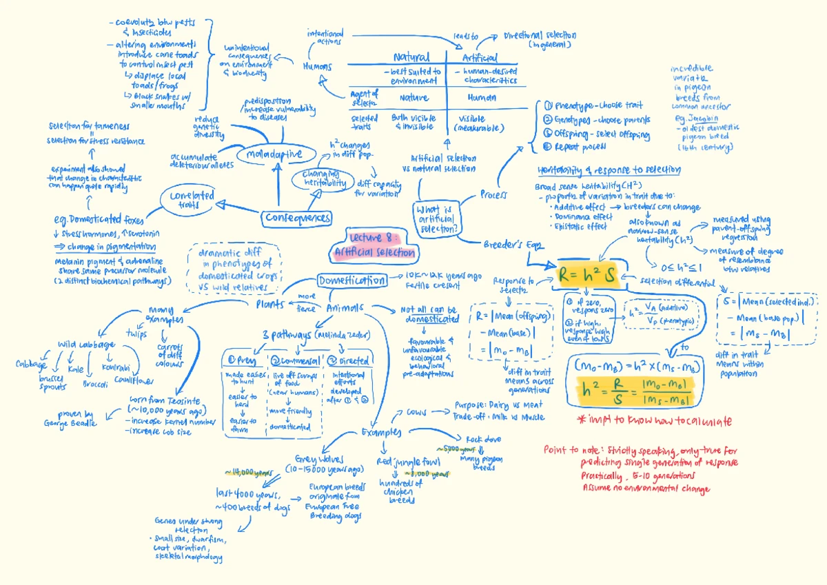 2107 Lecture 3 - Evolution of Life: Summary and Key Concepts - Studocu