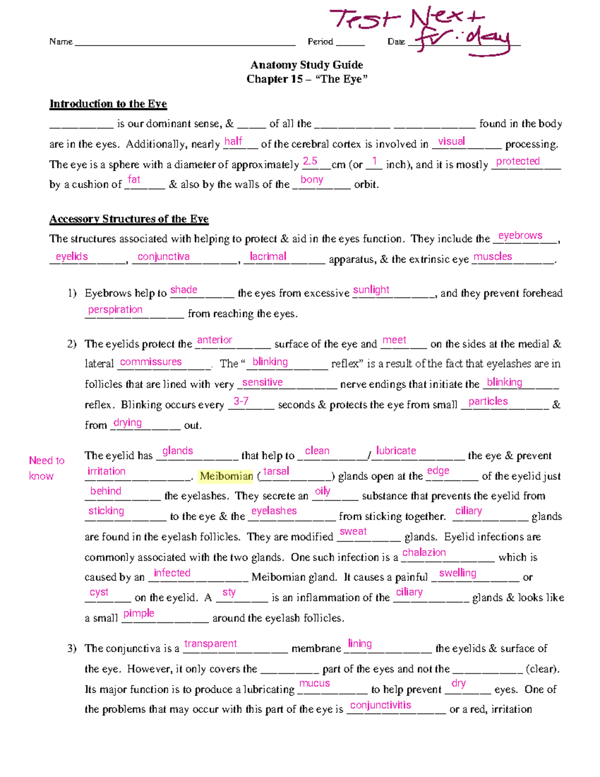 Anatomy Study Guide: Chapter 15 - The Eye - Studocu