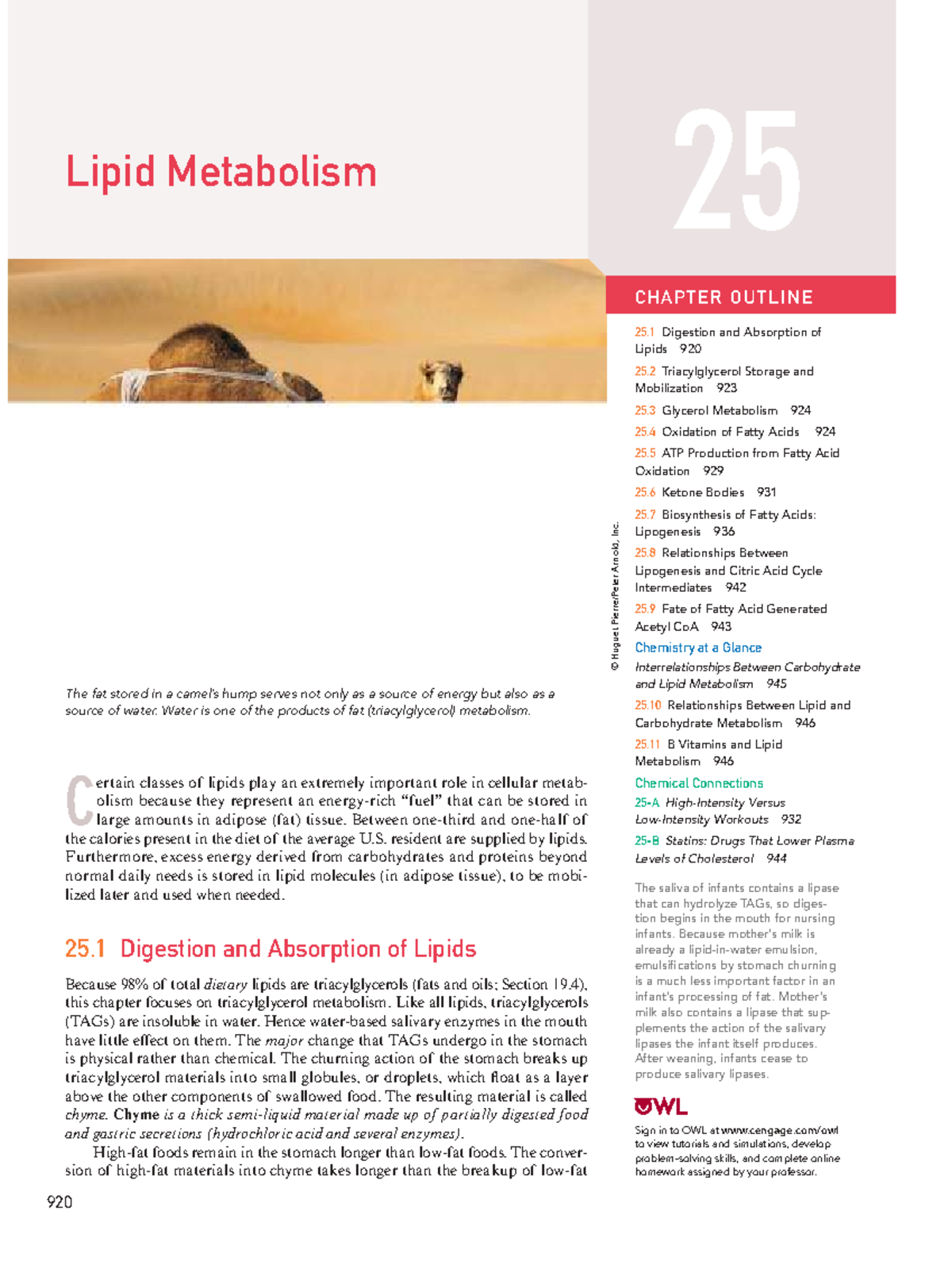 Lipid Metabolism Overview: Chapter 25 Insights and Key Concepts - Studocu