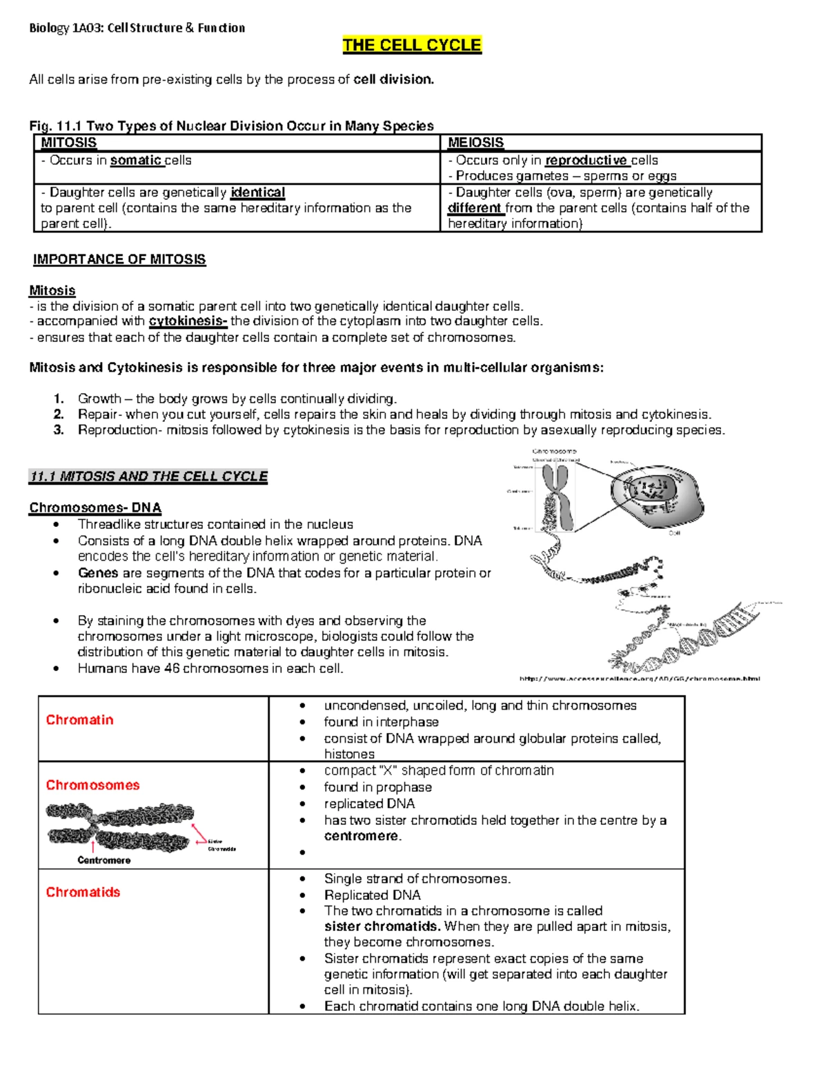 BIOLOGY 1A03 Intron Splicing Notes for Winter 2025 Lecture - Studocu