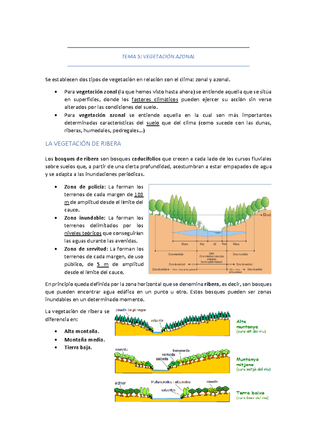 TEMA 5 Vegetación Azonal del medio físico - TEMA 5: VEGETACIÓN AZONAL ...