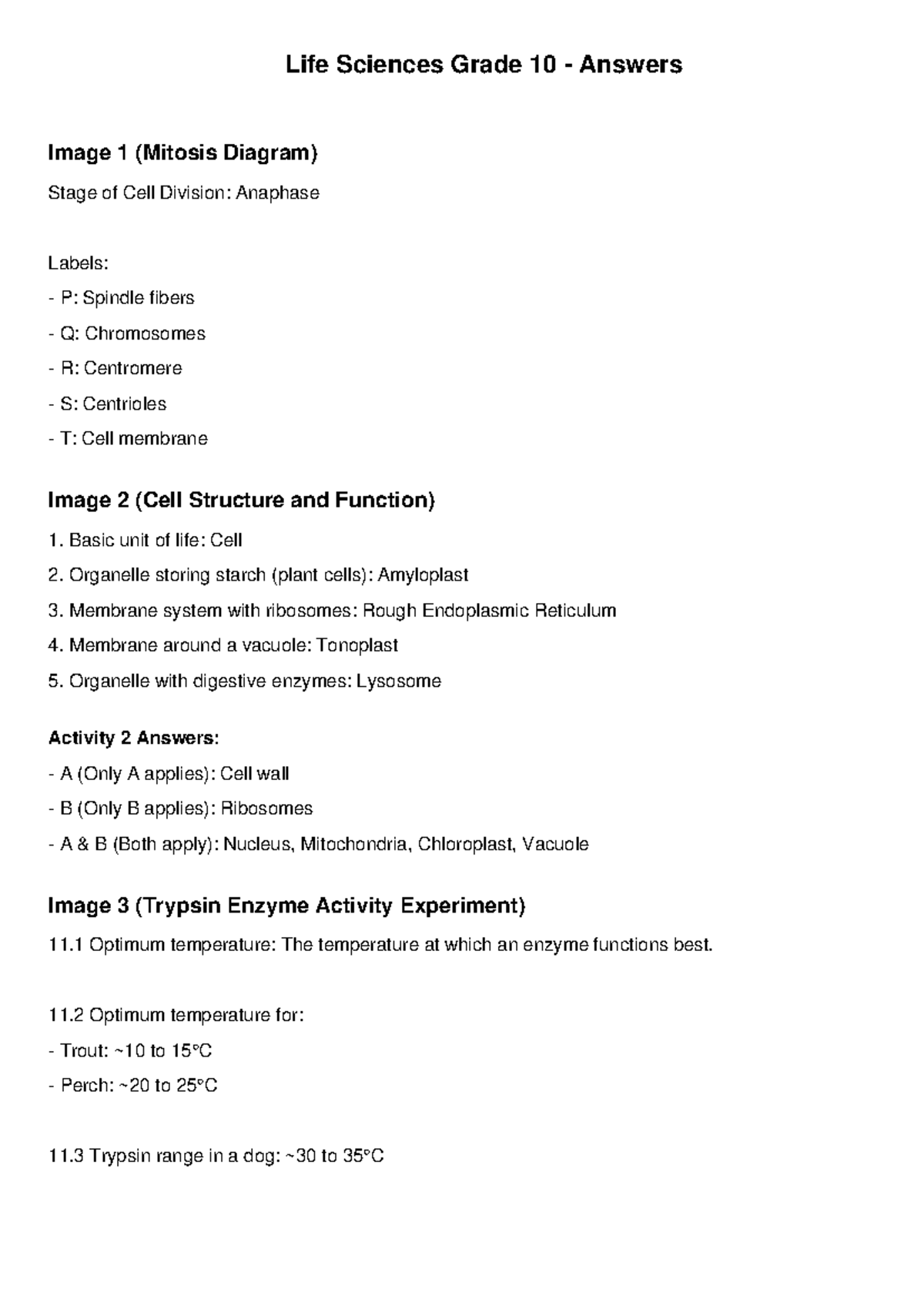 Life Sciences Grade 10 - Answer Key for Cell Division & Enzymes - Studocu