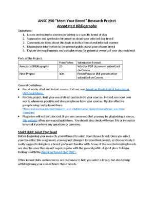 reflective essay about 3 idiots