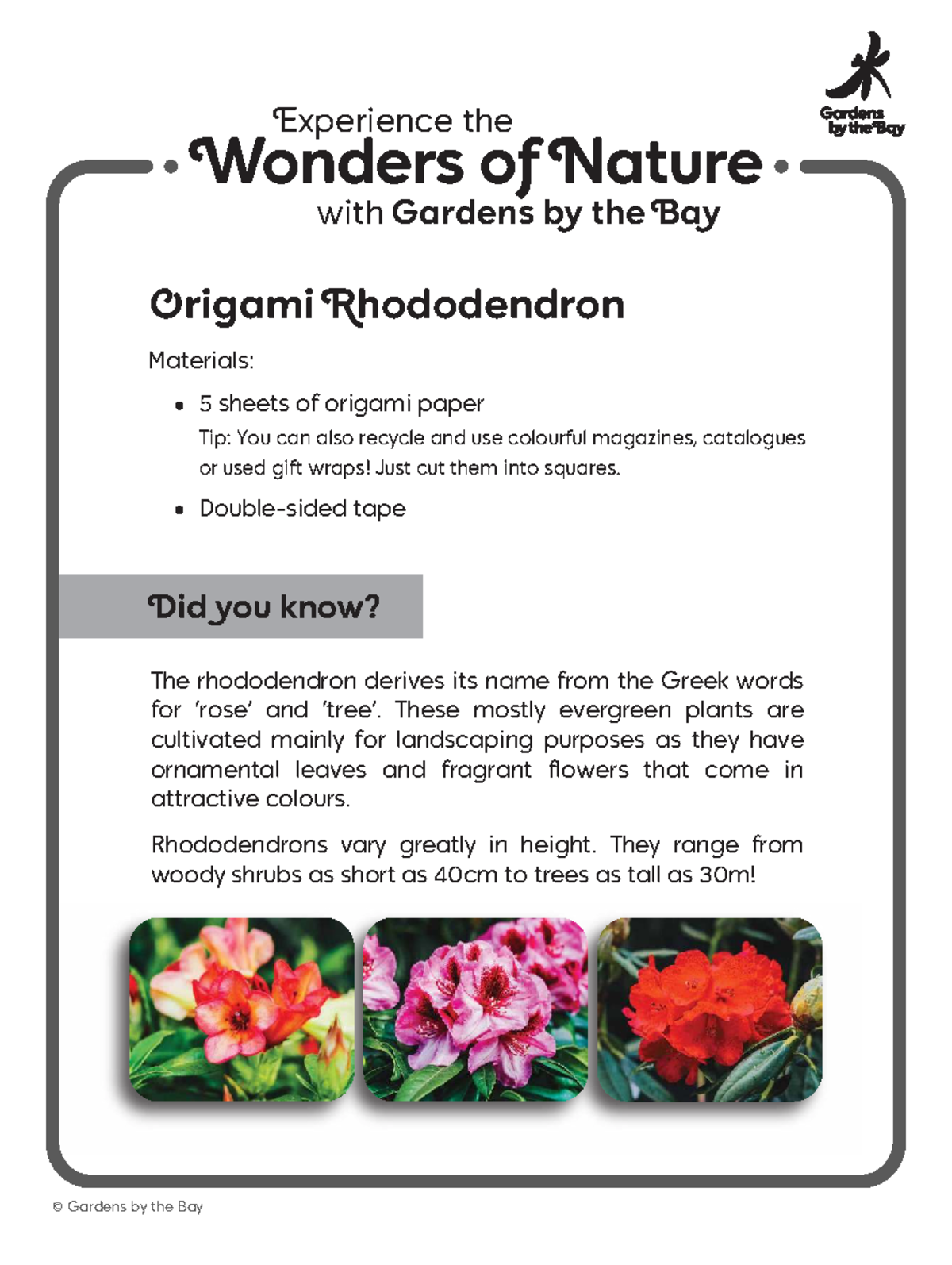 202004 27 Origami Rhododendron: Step-by-Step Guide - Studocu