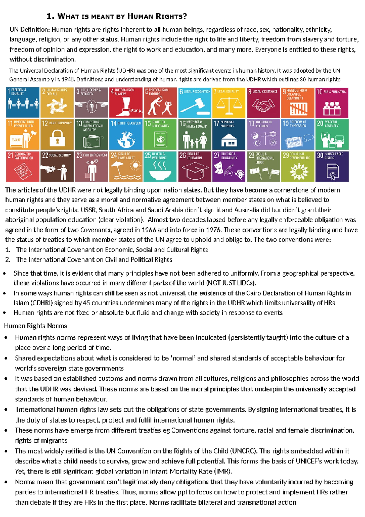 Human Rights Class Notes: Understanding Global Governance and ...