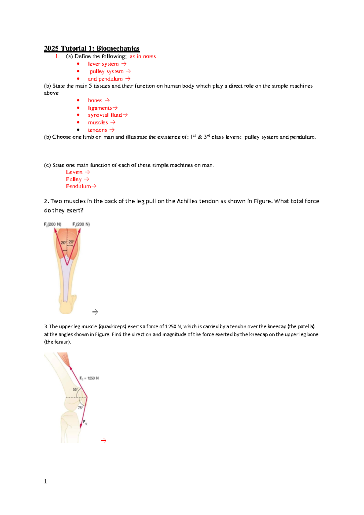 2025 PHYS 101 Tutorial 1: Biomechanics and Simple Machines - Studocu
