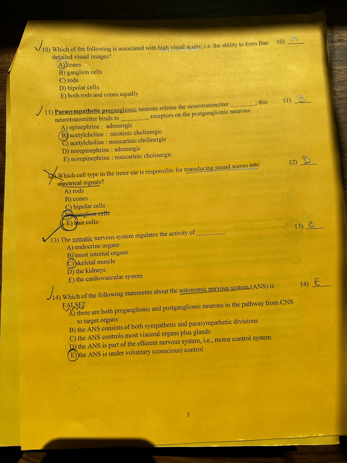 Physiology Exam II Study Guide - Fall 2023 - Studocu