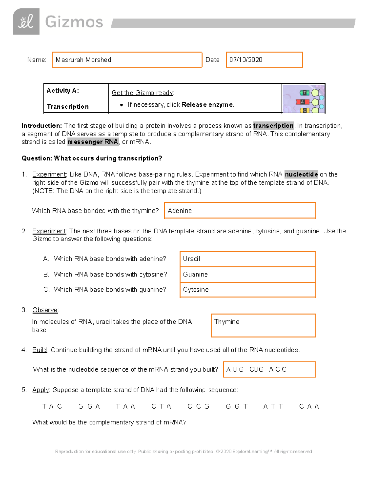 Copy of RNAProtein Synthesis SE - Name: Masrurah Morshed Date: 07 